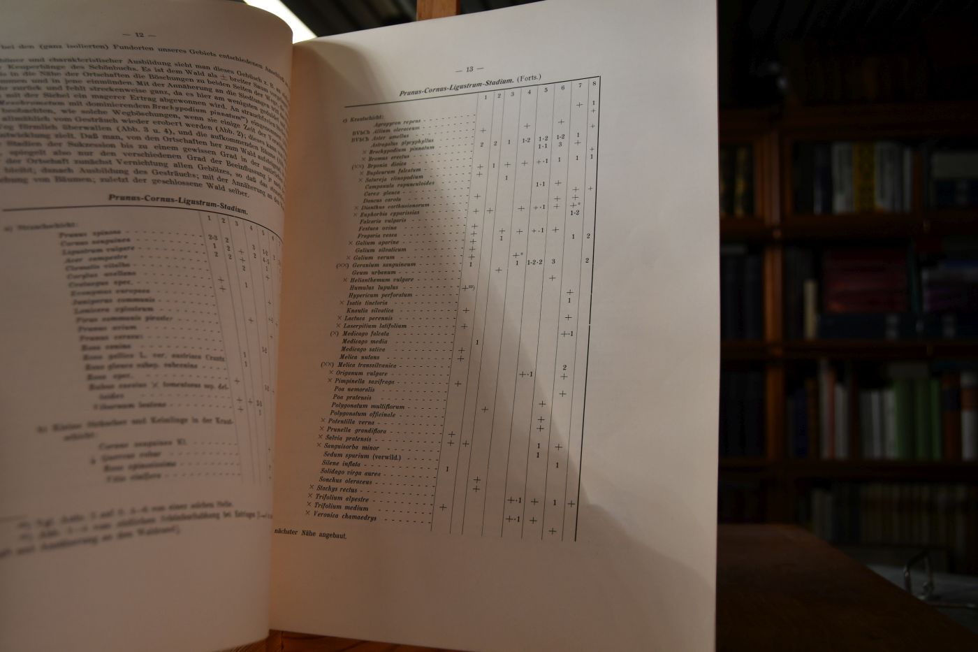 Pflanzensoziologische Untersuchungen in Süddeutschland. Über Waldgesellschaften in Württemberg.