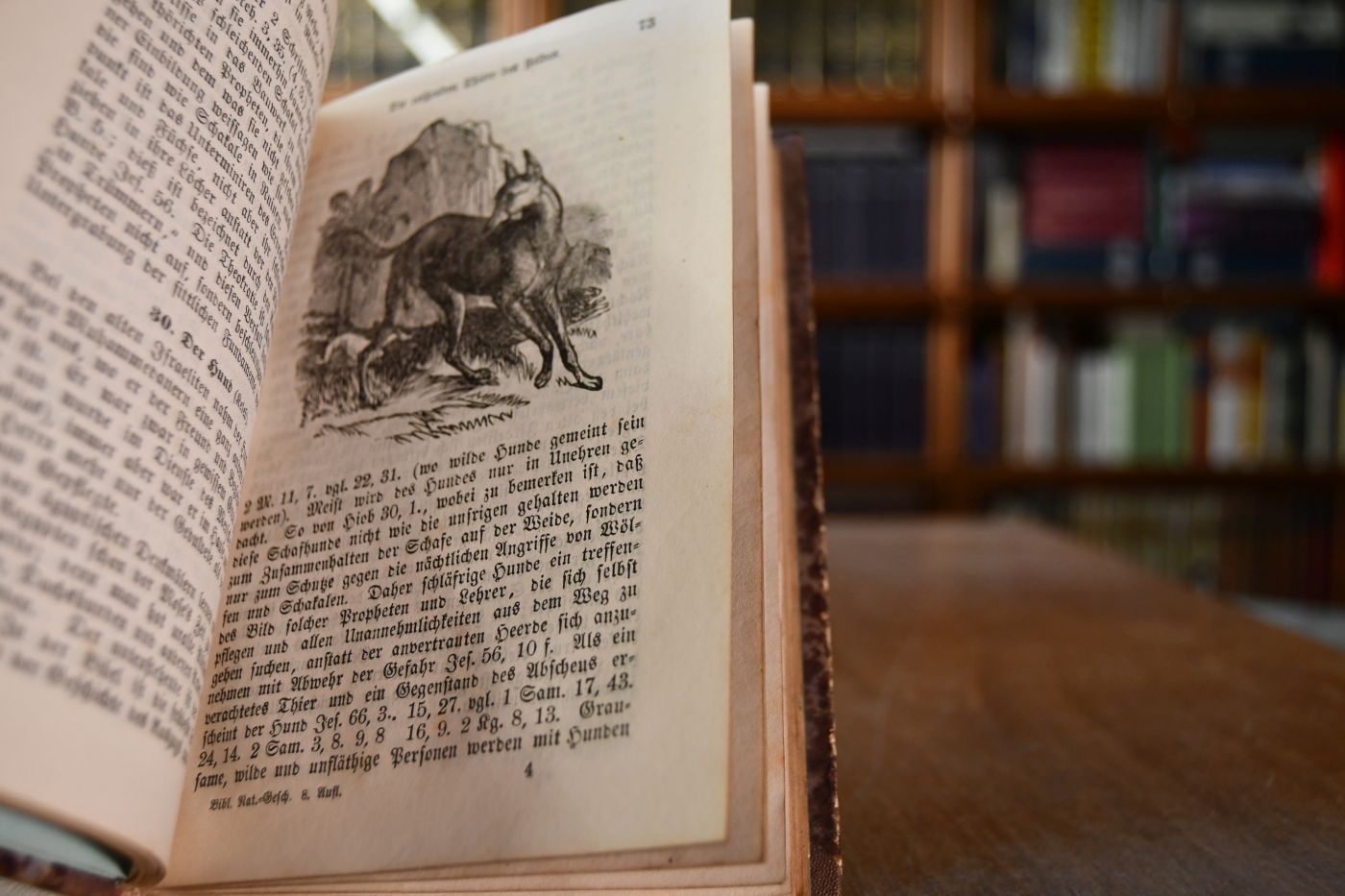 Biblische Naturgeschichte für Schulen und Familien.