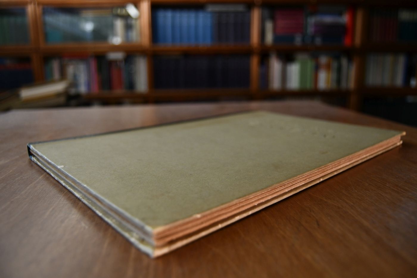 Tizianello. Eine Novelle.