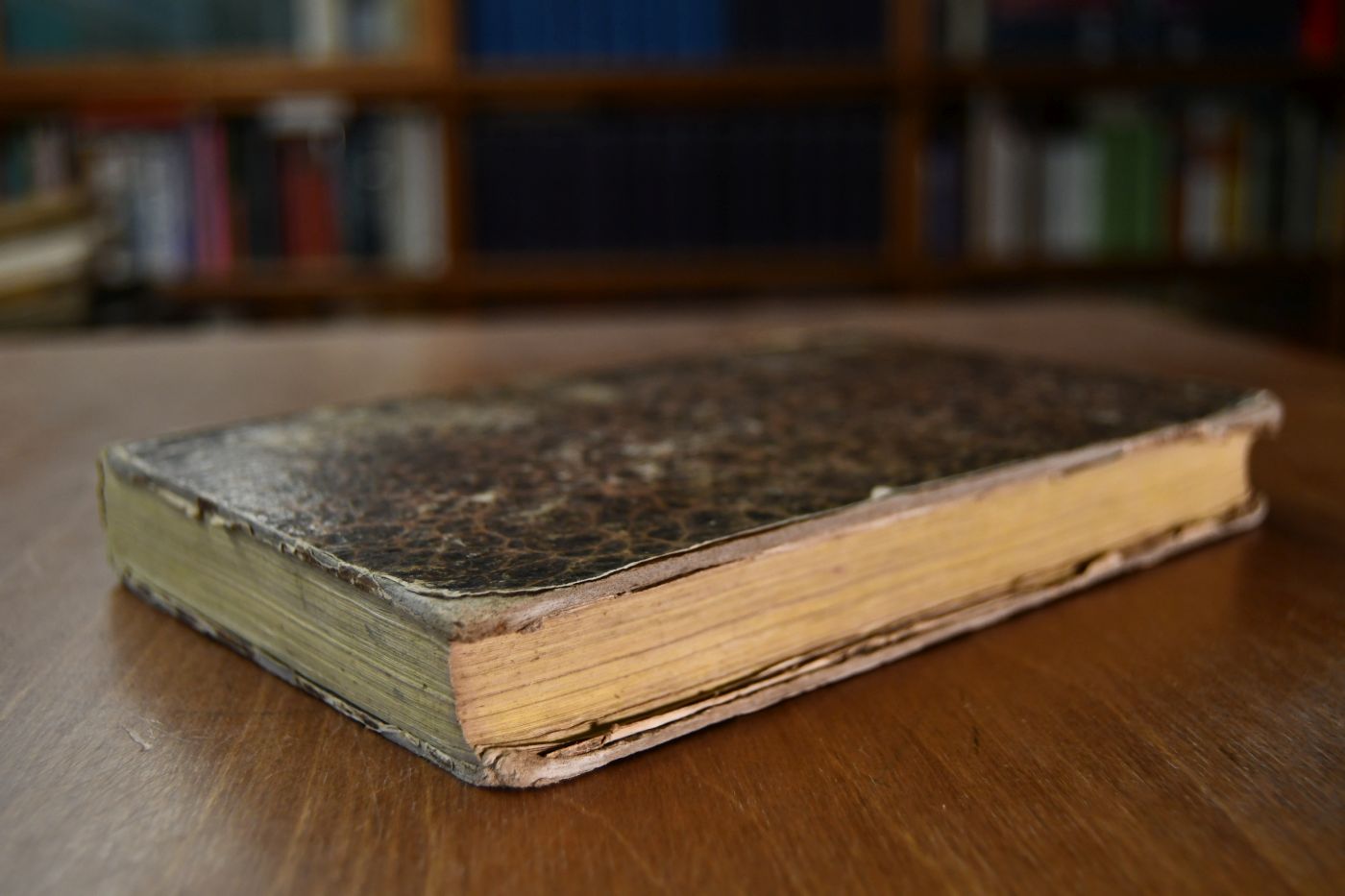 Predigten auf alle Sonn- und Festtage des Jahres nebst Gebeten auf jeden Tag der Woche und für verschiedene Fälle des menschlichen Lebens. Nach dem Englischen von H.C. Decker, Missionär. Bevorwortet von einem evangelischen Geistlichen.