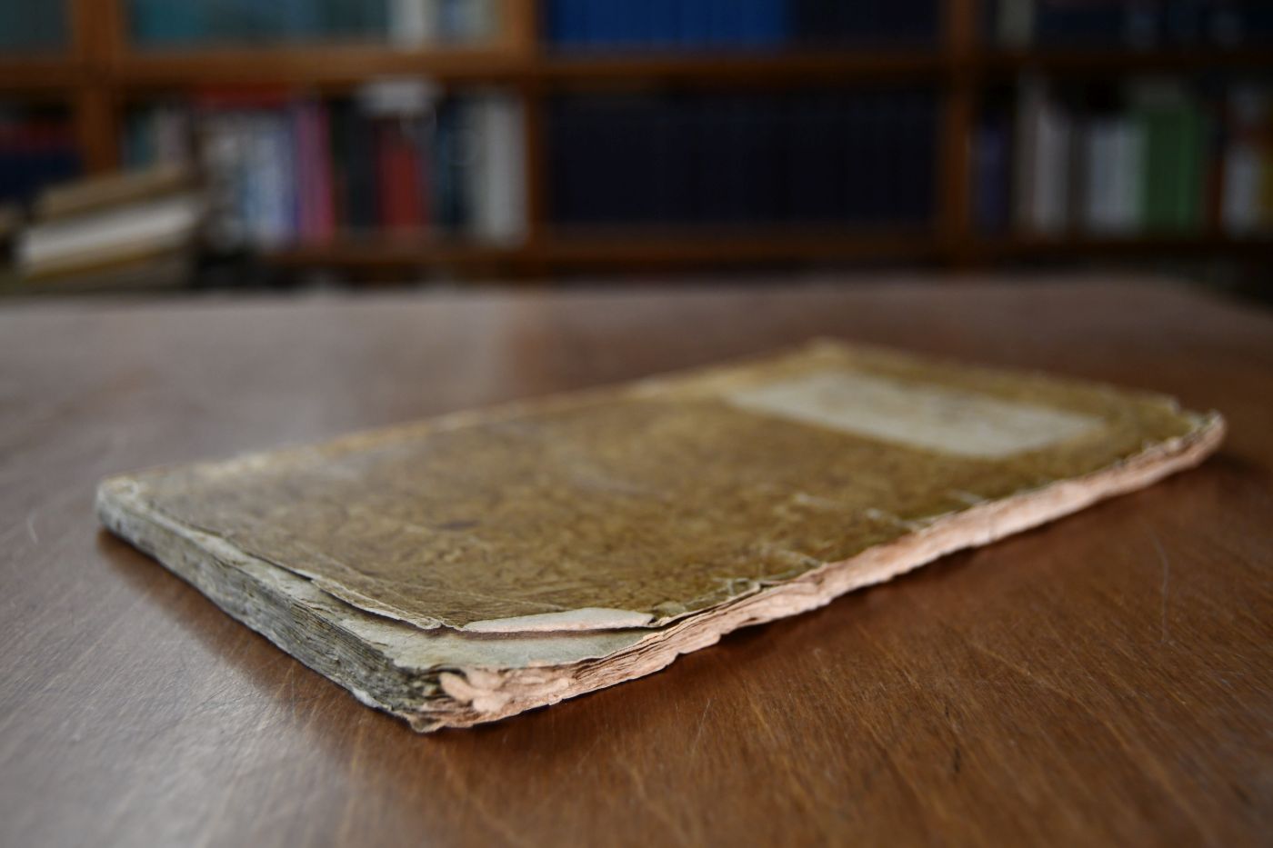Marie Antonette von Oesterreich Königin von Frankreich, ein biographischer Versuch ihres Privatlebens, aus dem Französischen.