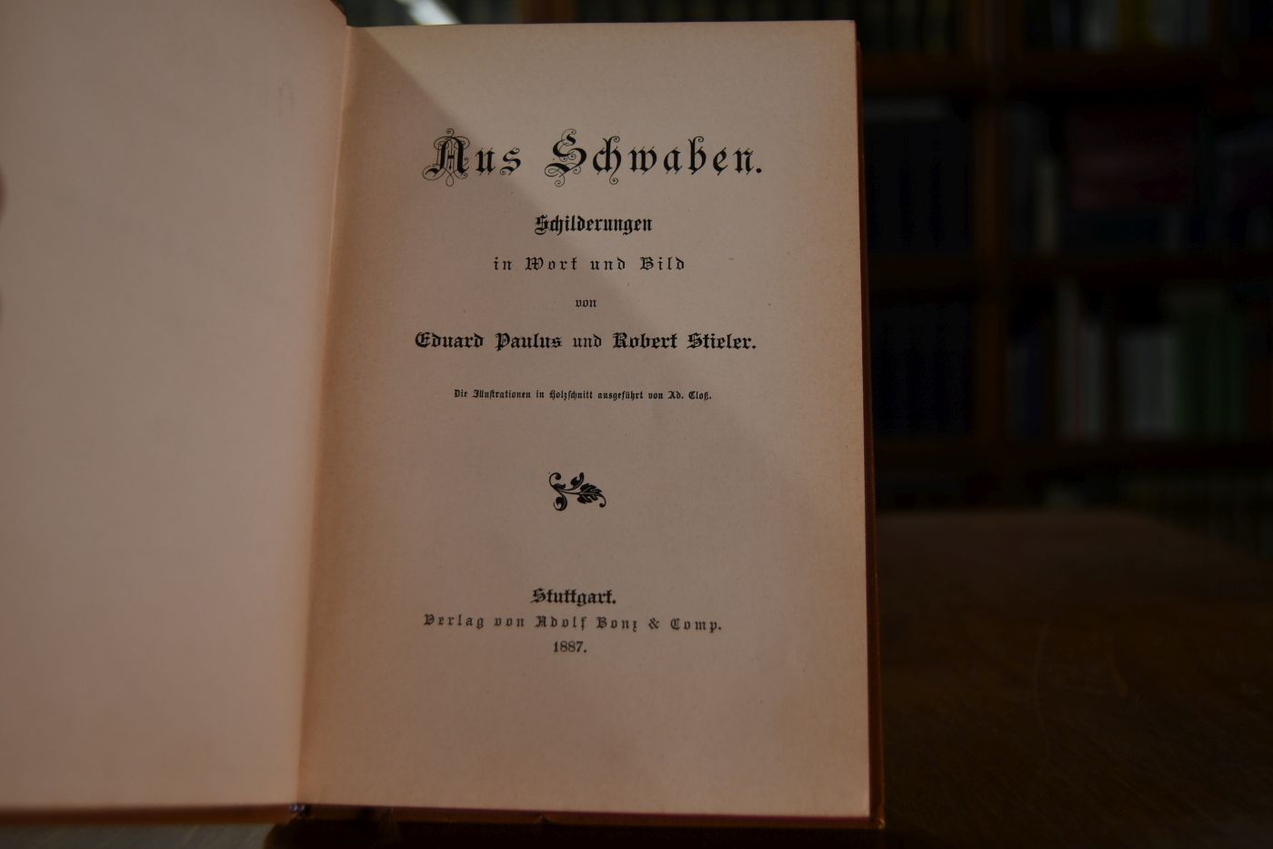 Aus Schwaben. Schilderungen in Wort und Bild.