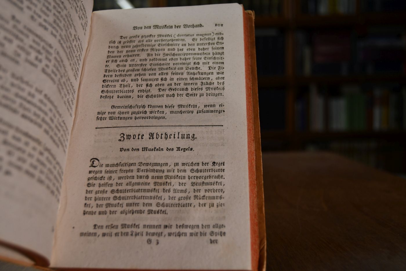 Des Freyherrn von Sind Churkölnischen Obersten eines Cavallerieregiments und ersten Stallmeisters vollständiger Unterricht in den Wissenschaften eines Stallmeisters mit einem Lehrbegrif der Pferdearzneykunst. Zweyter Theil Zergliederung des Pferdes.