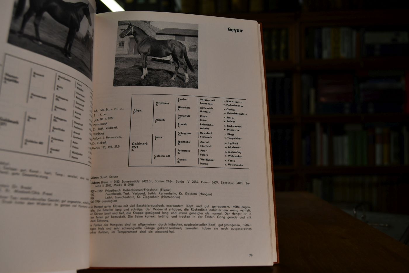 Hengstbuch 1967.