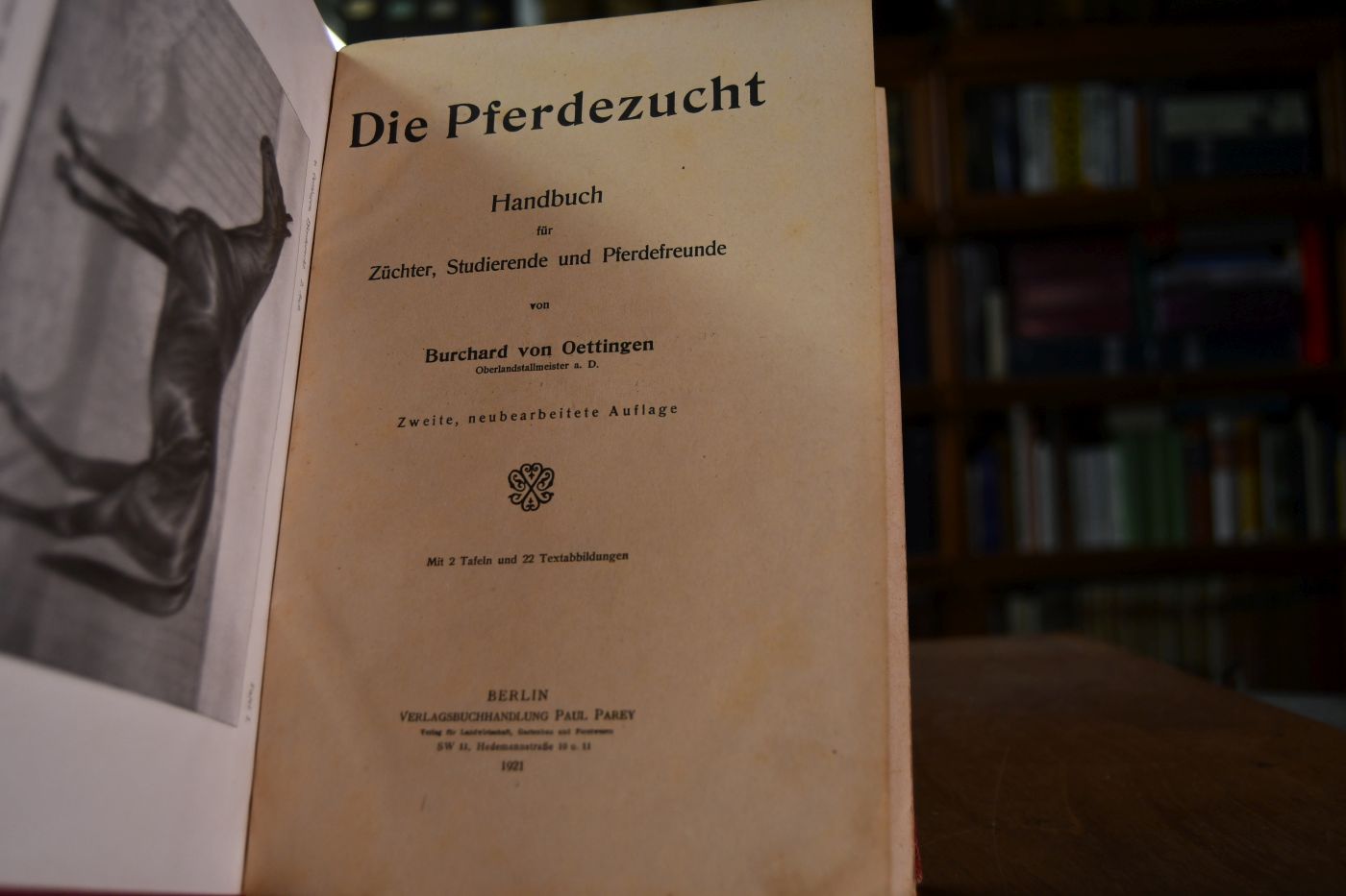 Die Pferdezucht. Handbuch für Züchter, Studierende und Pferdefreunde.