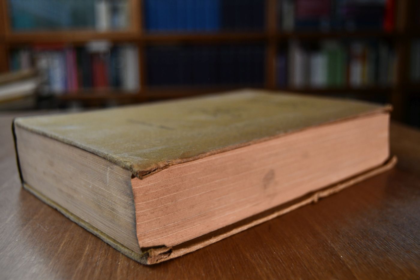 Holsteinisches Gestütbuch 14. Band