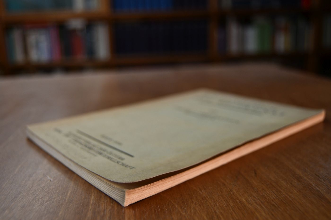 Grundzüge der Reitkunst.