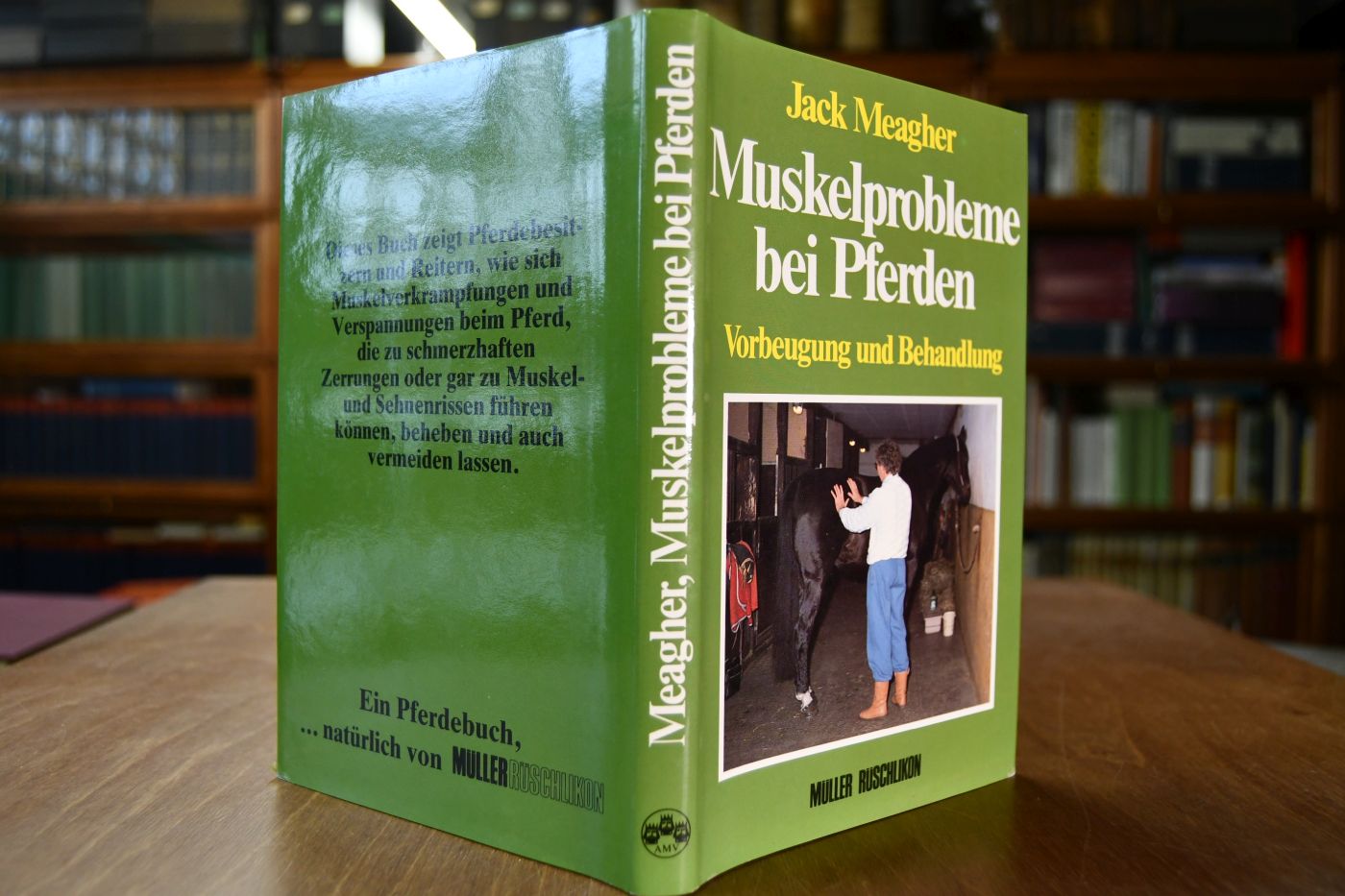 Muskelprobleme bei Pferden. Vorbeugung und Behandlung durch physiotherapeutische Methoden.