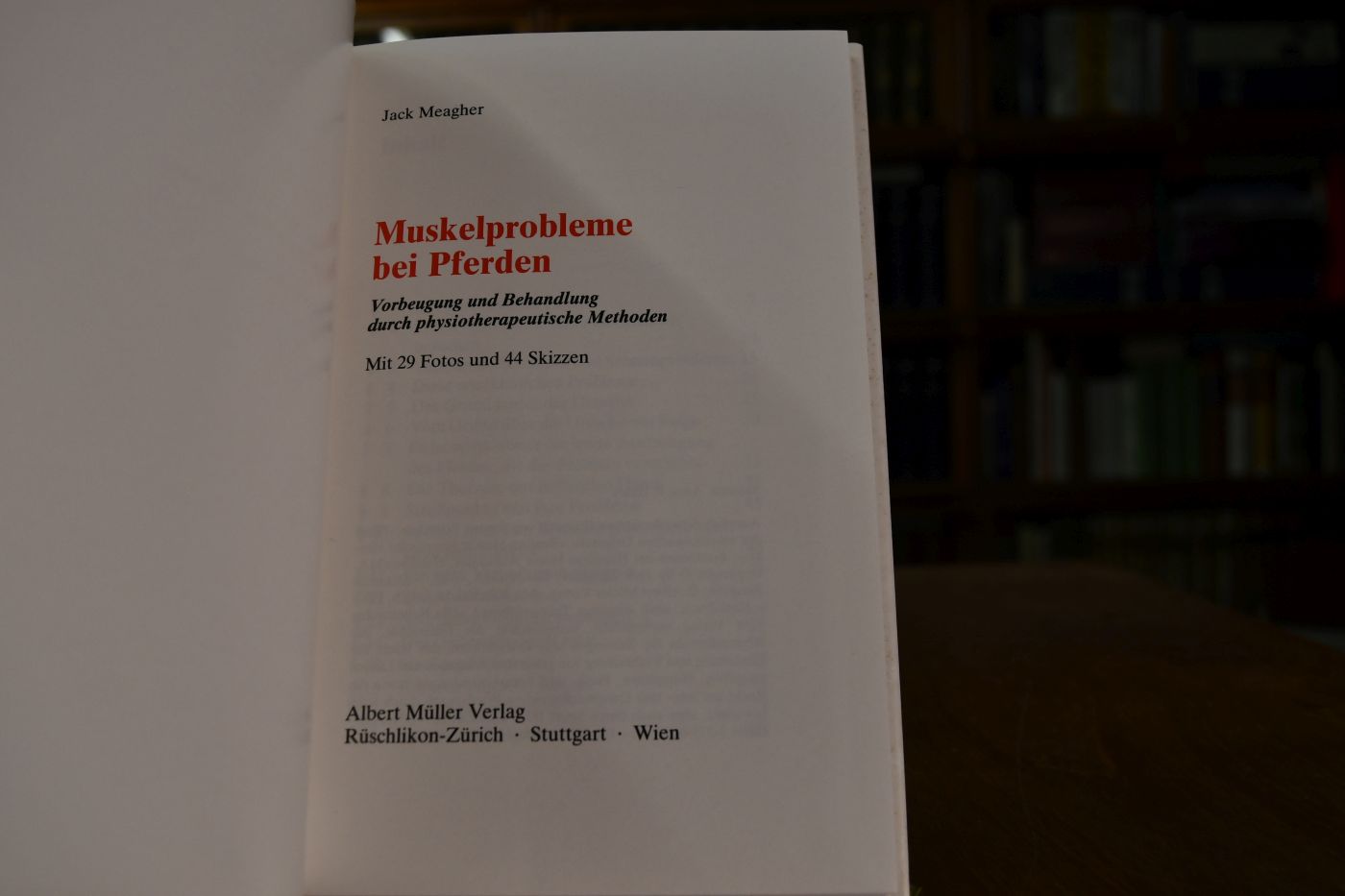Muskelprobleme bei Pferden. Vorbeugung und Behandlung durch physiotherapeutische Methoden.