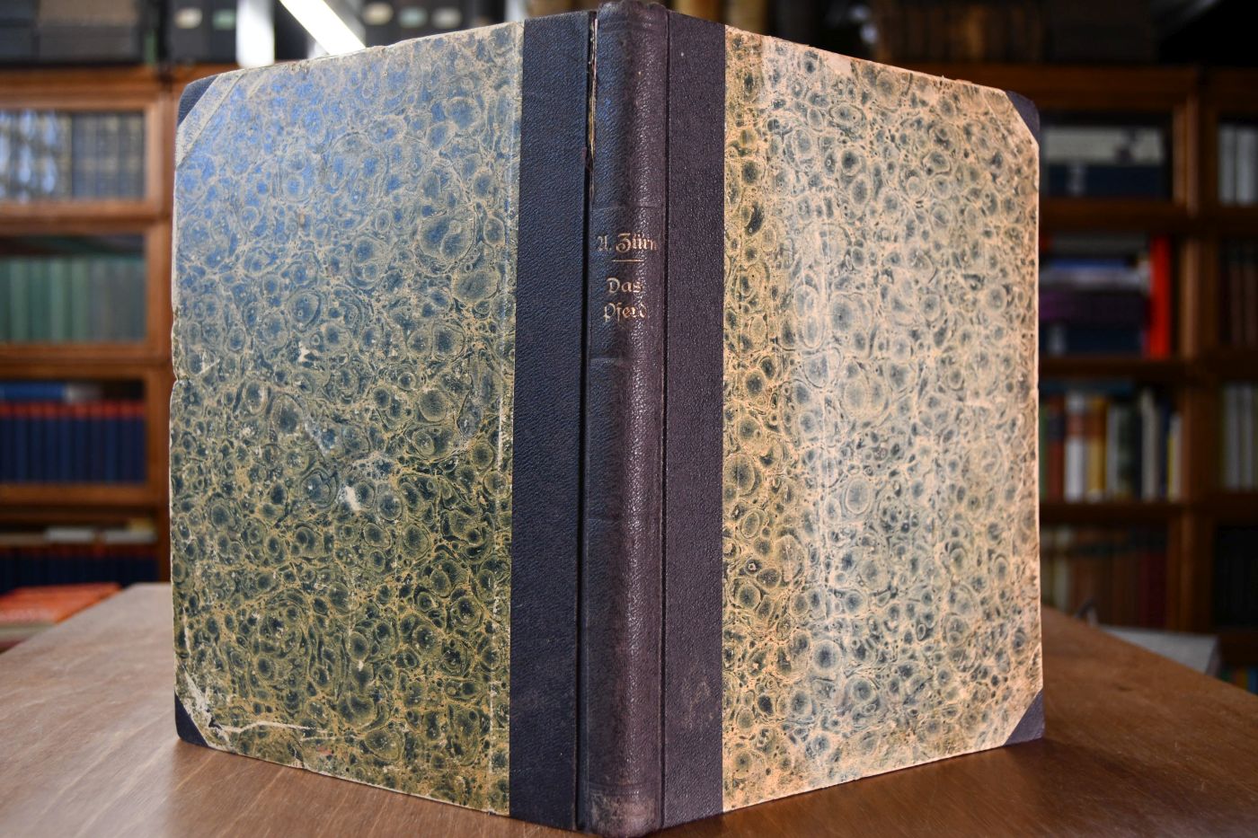 Das Pferd und seine Rassen. Ein Lehrbuch für Pferdezüchter und Pferdefreunde, auch für Tierärzte, Künstler und Kunstgewerbetreibende.