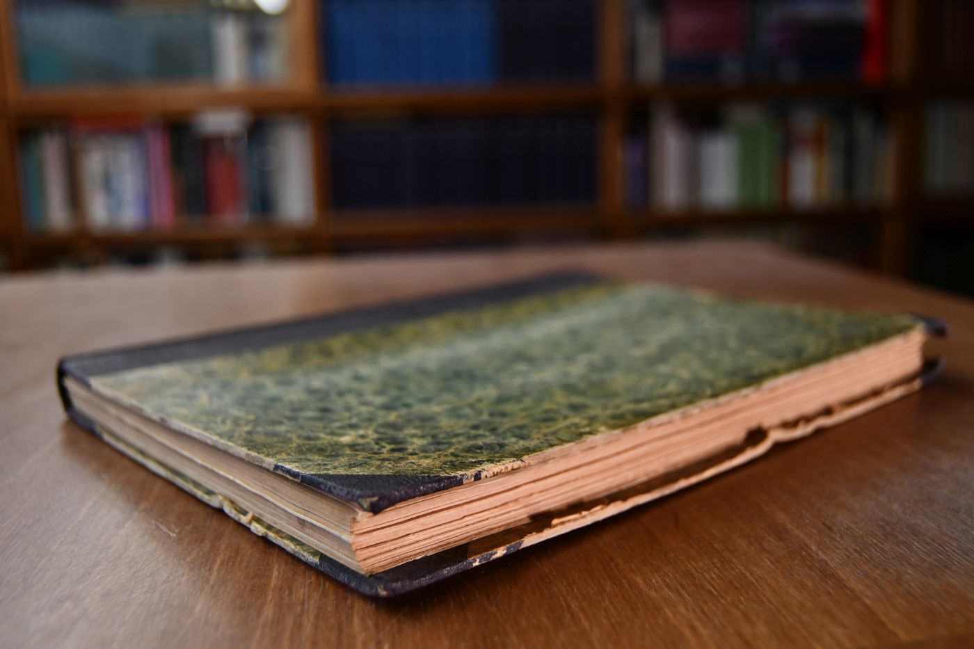 Das Pferd und seine Rassen. Ein Lehrbuch für Pferdezüchter und Pferdefreunde, auch für Tierärzte, Künstler und Kunstgewerbetreibende.