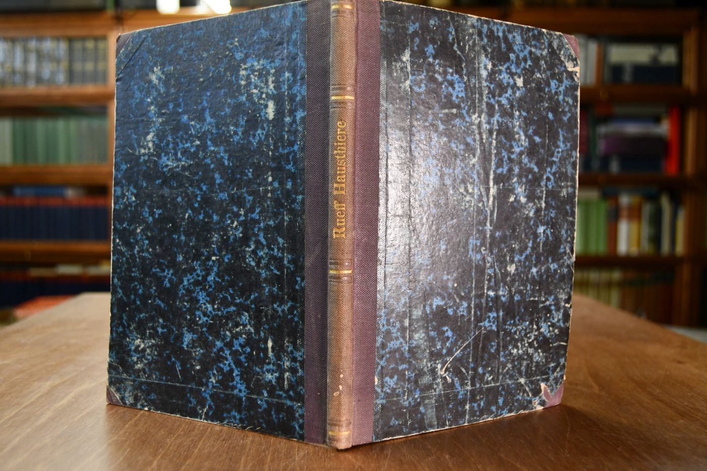 Ueber Bau und Verrichtungen des Körpers unserer Hausthiere. Anatomisch-physiologische Einleitung in die Thierkunde und Thierzucht bearbeitet für den landwirth. Gestütsbeamten, Thierbesitzer etc.
