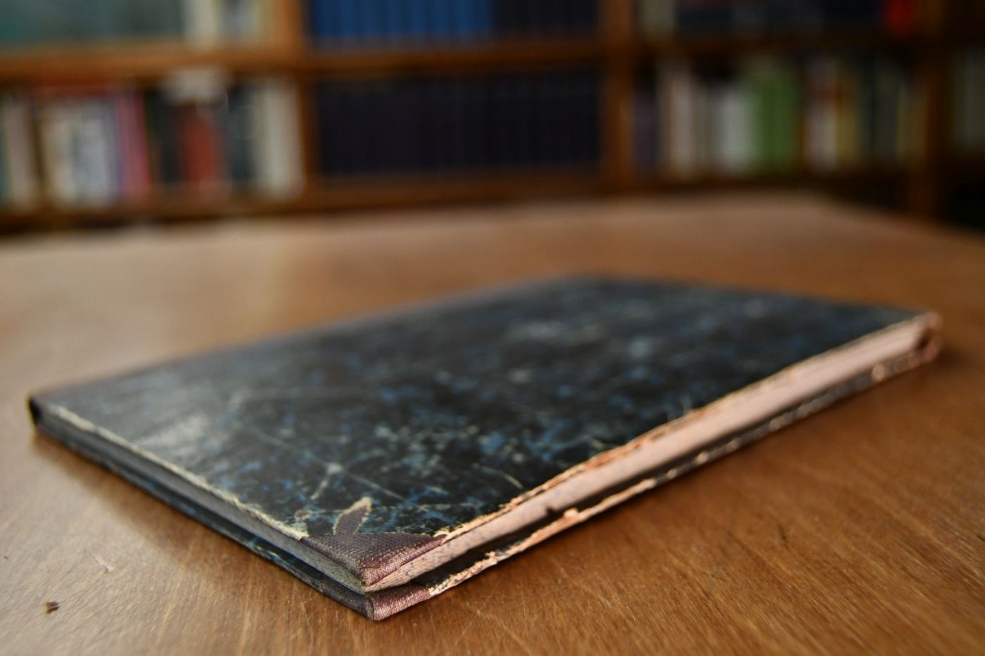 Ueber Bau und Verrichtungen des Körpers unserer Hausthiere. Anatomisch-physiologische Einleitung in die Thierkunde und Thierzucht bearbeitet für den landwirth. Gestütsbeamten, Thierbesitzer etc.