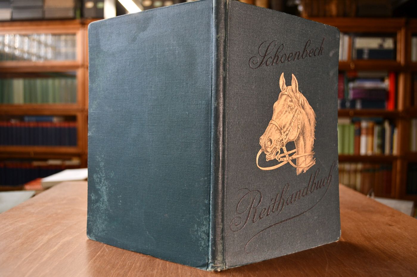 Das Reithandbuch für berittene Offiziere der Fußtruppen sowie für jeden Besitzer eines Reitpferdes. Nach langjährigen Erhebungen.