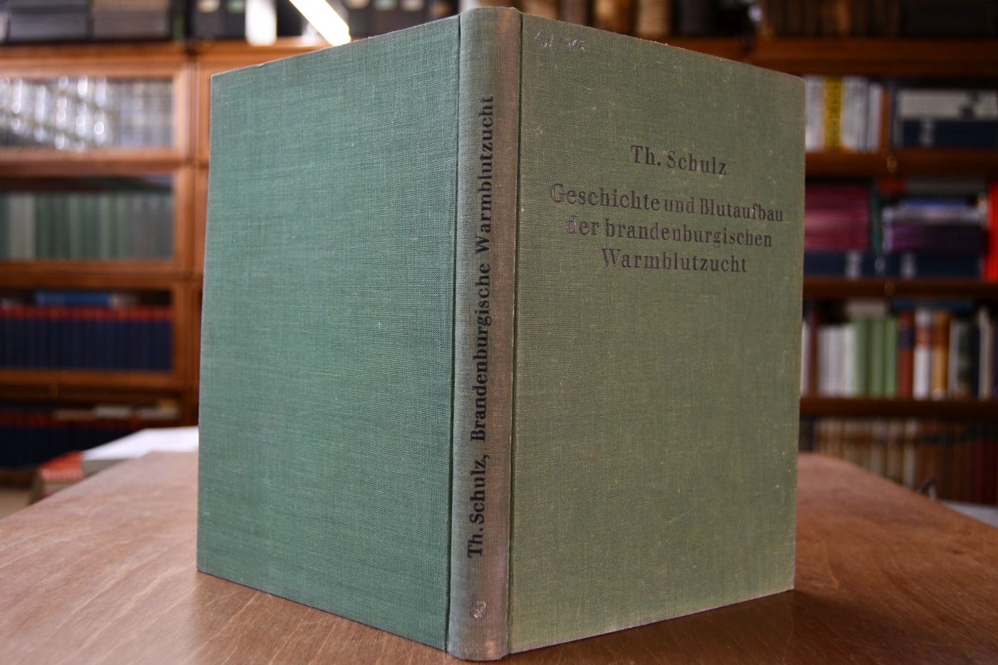 Geschichte und Blutaufbau der brandenburgischen Warmblutzucht.