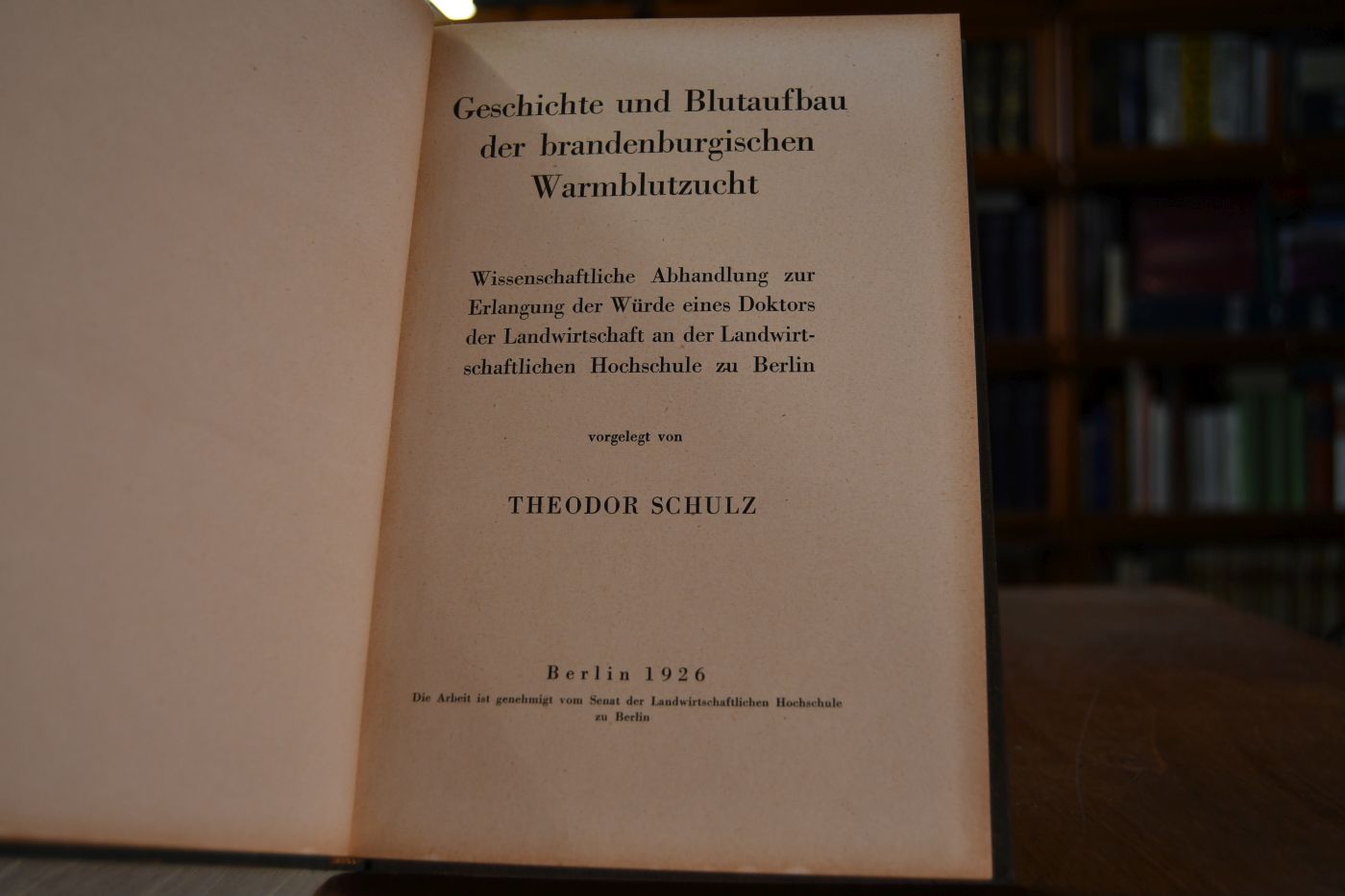 Geschichte und Blutaufbau der brandenburgischen Warmblutzucht.