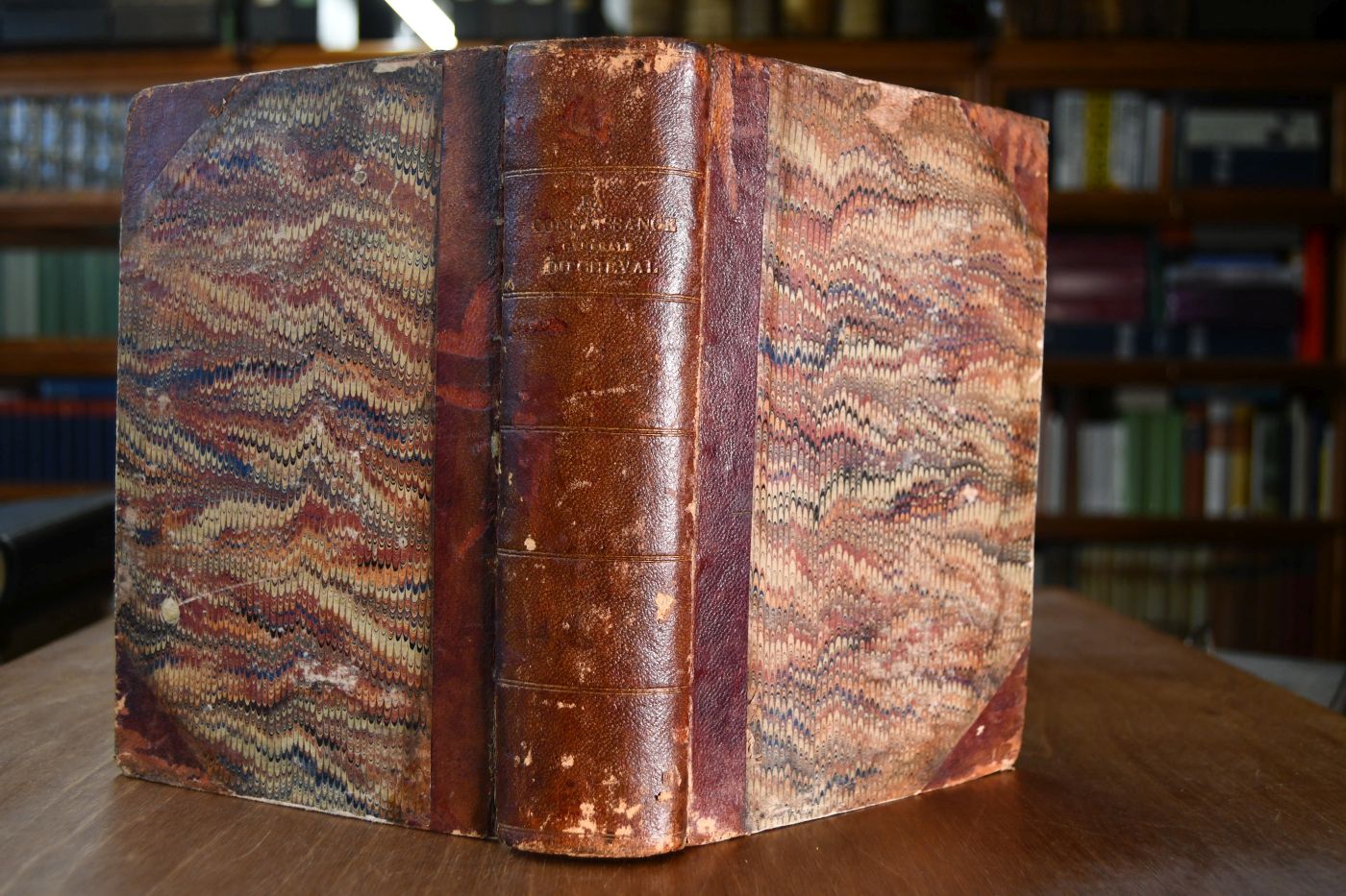 La Connaissance generale du Cheval. Etudes de Zootechnie pratique avec un atlas de 160 pages et 103 figures.