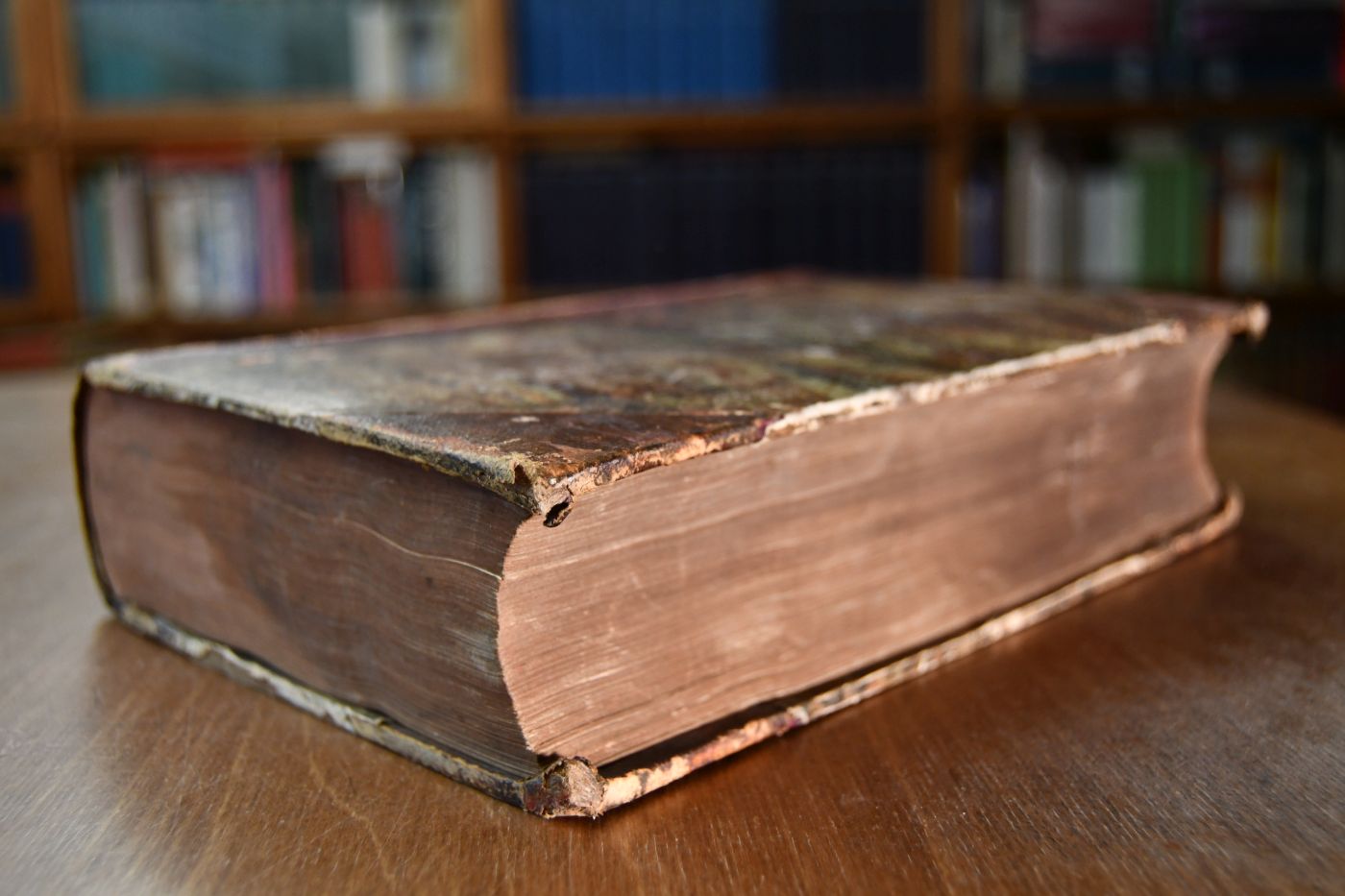 La Connaissance generale du Cheval. Etudes de Zootechnie pratique avec un atlas de 160 pages et 103 figures.