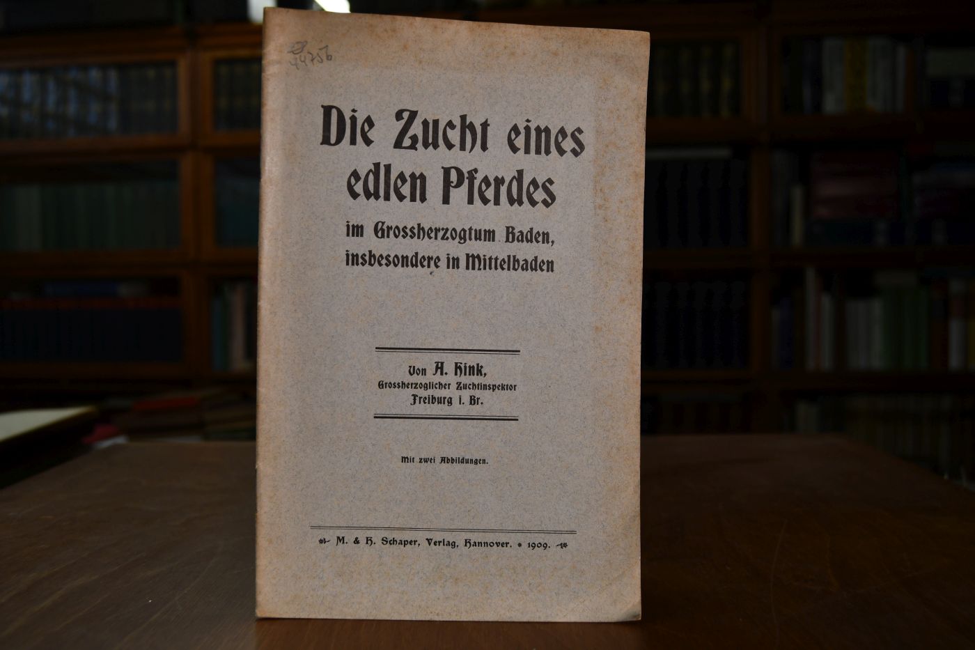 Die Zucht eines edlen Pferdes im Großherzogtum Baden insbesondere in Mittelbaden.