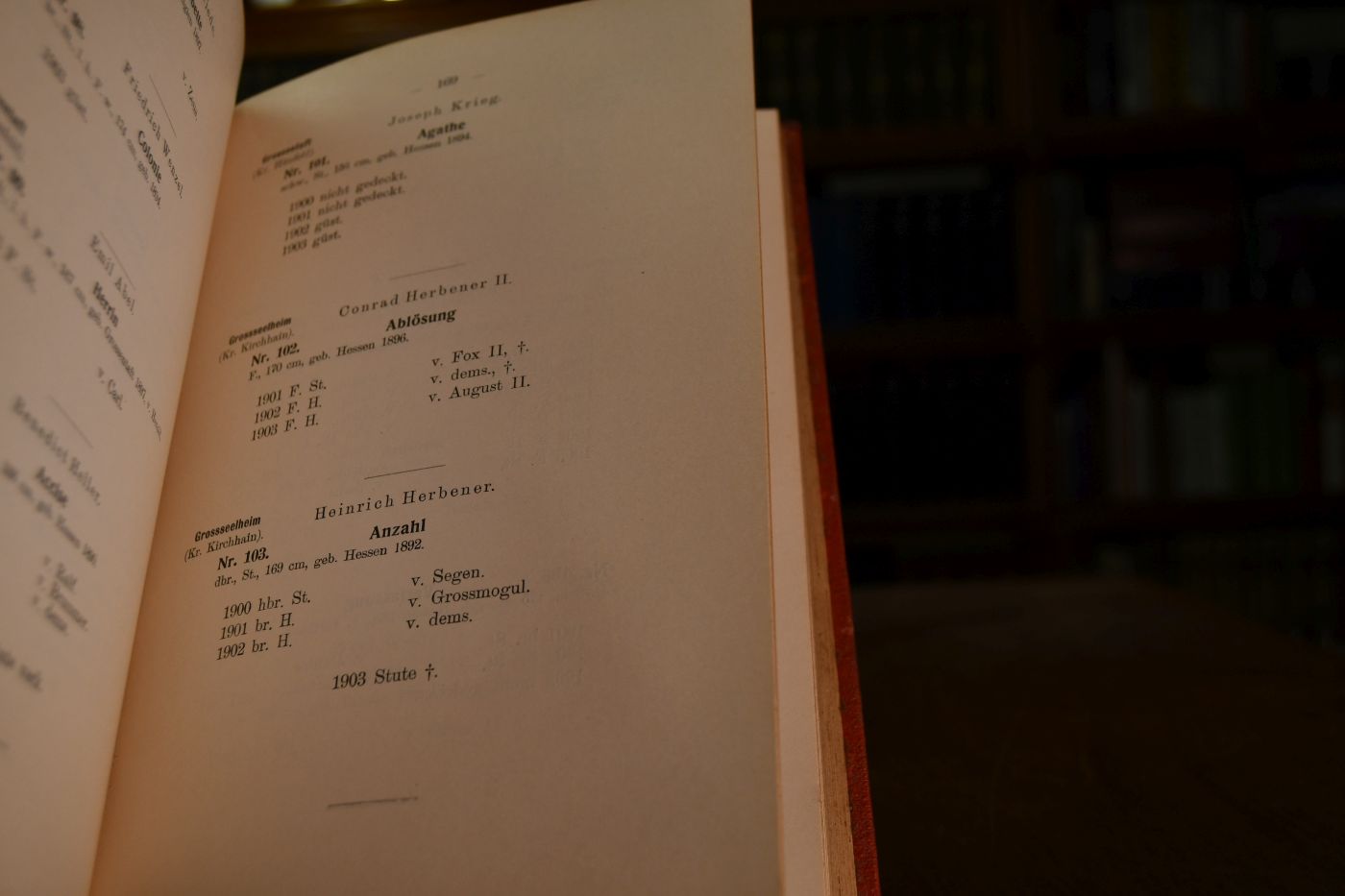 Hessisches Stutbuch 1. Band