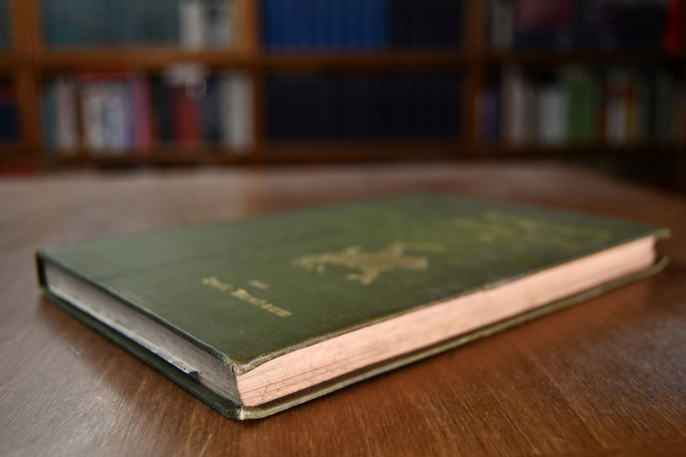 Thatenbuch der deutschen Reiterei. Den deutschen Reitern gewidmet.