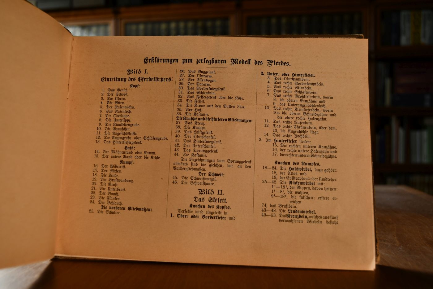 Zerlegbare Modelle von Pferd, Rind, Schaf, Schwein, Hund, Haushahn und Gänserich zu C.O. Lampe`s Illustrierter Tierheilkunde. Populäres Handbuch der Anatomie, Gesundheitspflege, Zucht, Geburtshilfe, des Hufbeschlags u.s.w. unserer Haustiere, ein ärztlicher Hausschatz für sämtliche Krankheiten derselben unter besonderer Berücksichtigung der Hausmittel und Homöopathie.