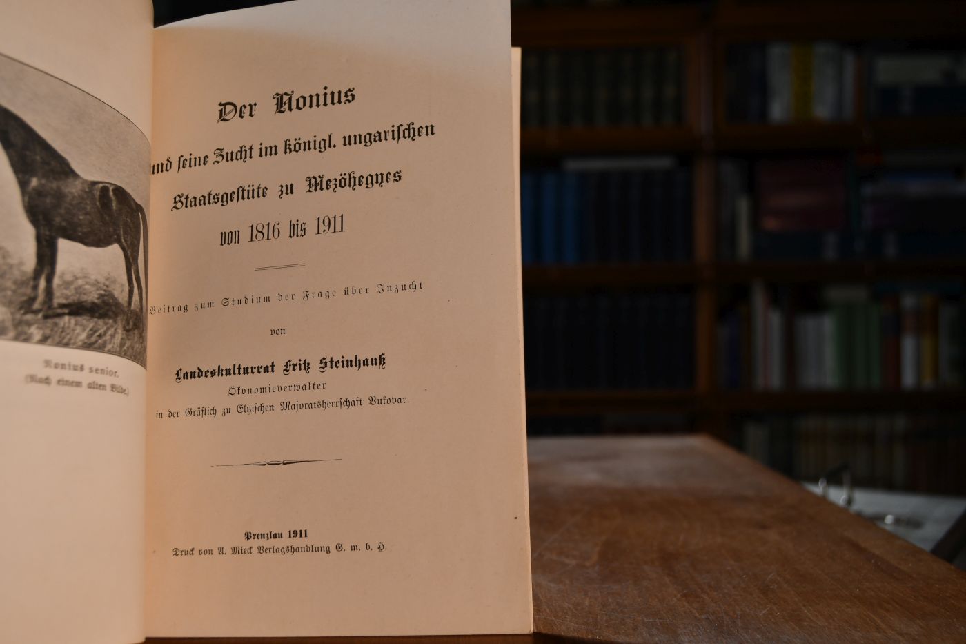 Der Nonius und seine Zucht im königl. ungarischen Staatsgestüte zu Mezöhegnes von 1816 bis 1911. Beitrag zum Studium der Frage über Inzucht