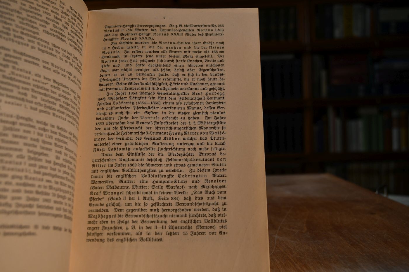 Der Nonius und seine Zucht im königl. ungarischen Staatsgestüte zu Mezöhegnes von 1816 bis 1911. Beitrag zum Studium der Frage über Inzucht