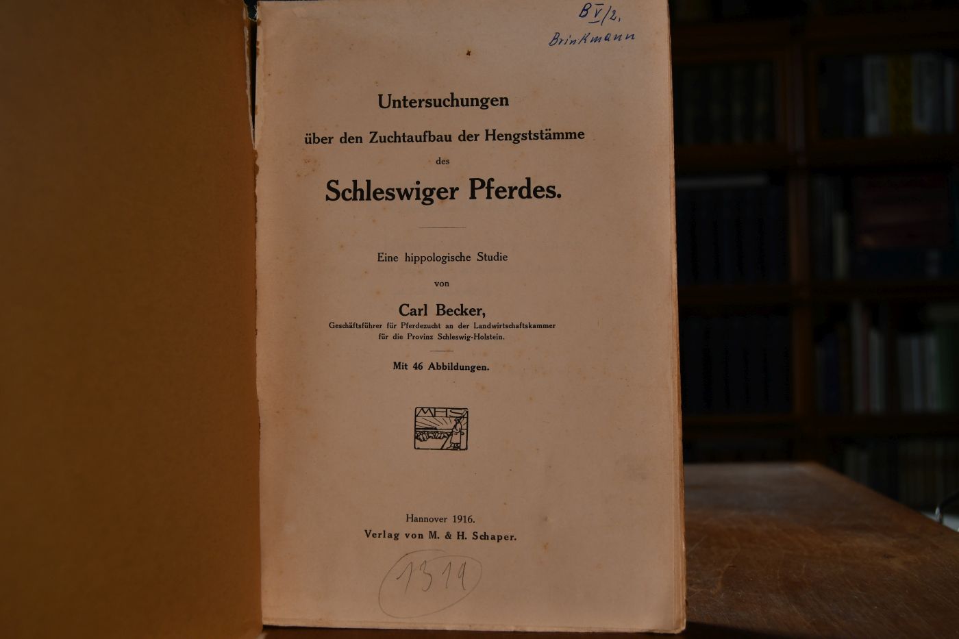Untersuchungen über den Zuchtaufbau der Hengststämme des Schleswiger Pferdes. Eine hippologische Studie.