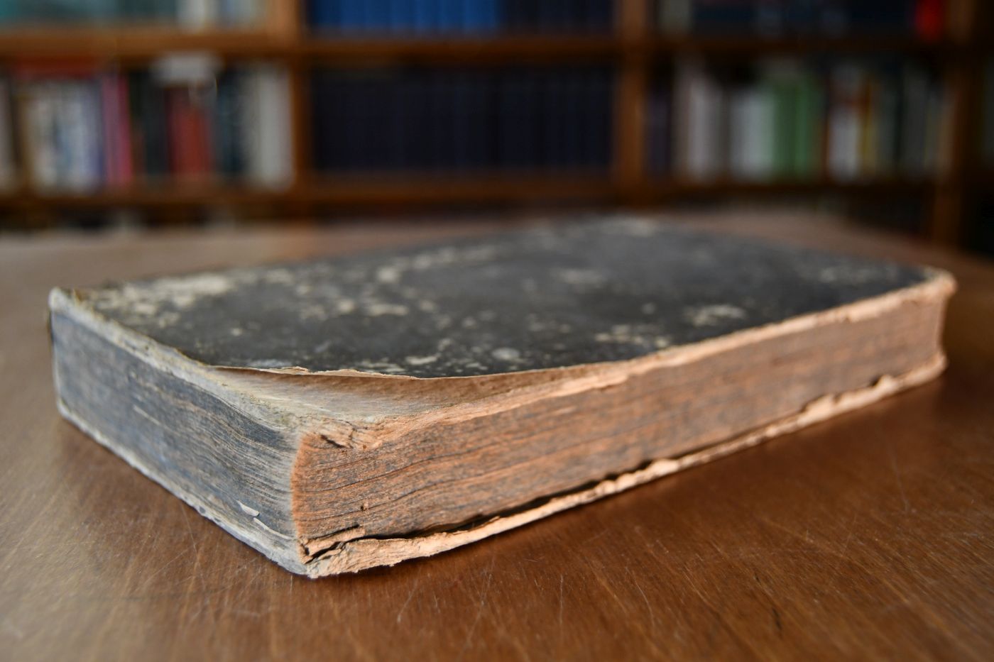 J. B. von Sind`s sicher und geschwind heilender Pferde-Arzt oder gründlicher Unterricht über die Erkenntniß, Ursachen und Heilung der Krankheiten der Pferde.
