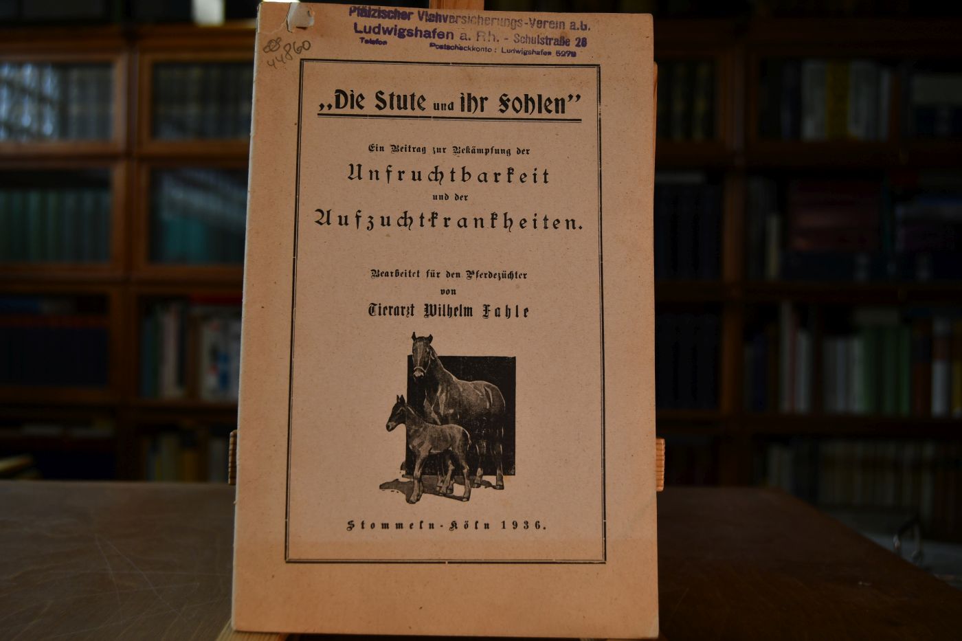 "Die Stute und ihr Fohlen". Ein Beitrag zur Bekämpfung der Unfruchtbarkeit und der Aufzuchtkrankheiten.