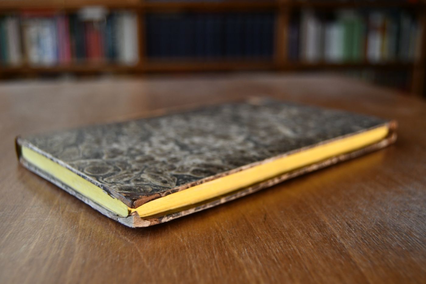 Praktisches Handbuch der Pferdezucht für Pferdebesitzer und Pferdeliebhaber, mkt besonderer Rücksicht auf Bayern.