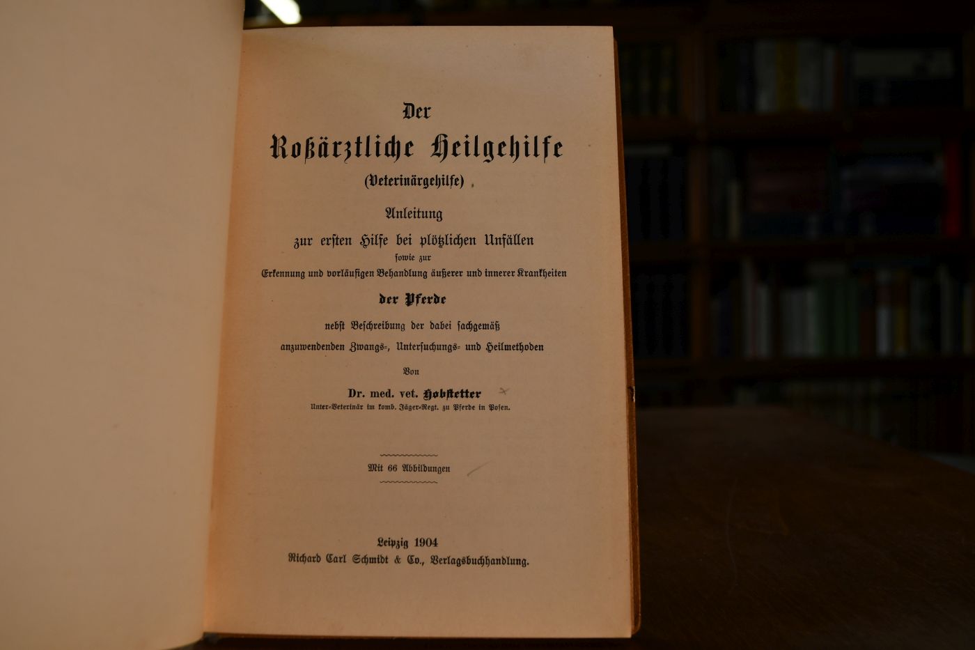 Der roßärztliche Heilgehilfe (Veterinärgehilfe).