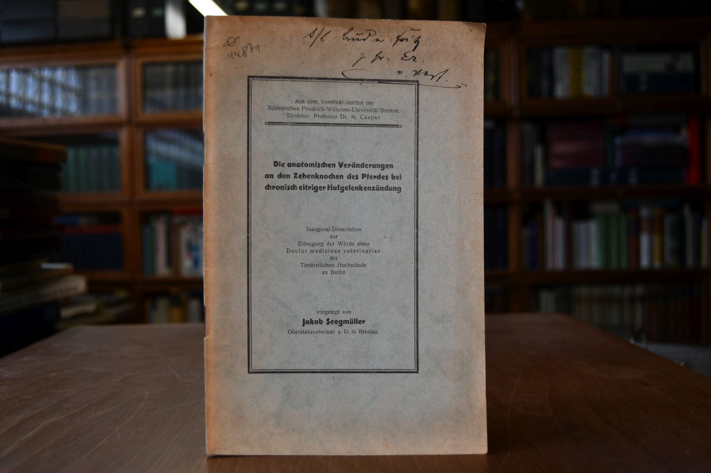Die anatomischen Veränderungen an den Zehenknochen des Pferdes bei chronisch eitriger Hufgelenkentzündung.