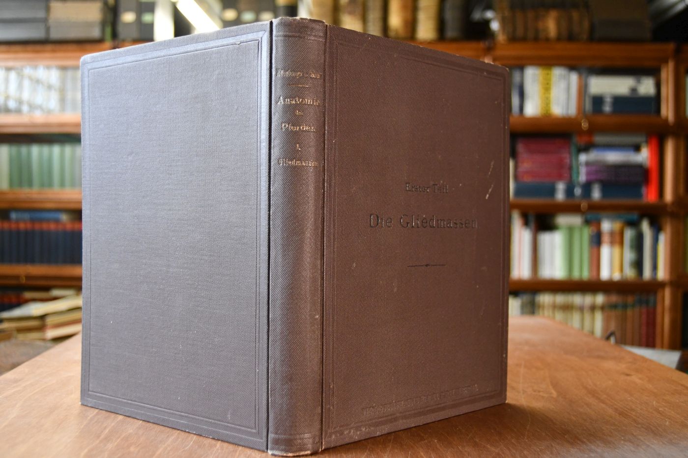 Topographischer Atlas des Pferdes. Erster Teil Die Gliedmassen.