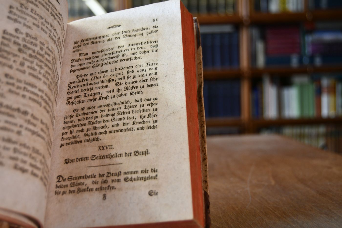 Lehrbuch der Pferdekenntniß, oder vollständiger Unterricht von den Schönheiten und Fehlern dieser Thiere, von den Kennzeichen des Alters, ihrer verschiedenen Anwendbarkeit zum Dienste &c.