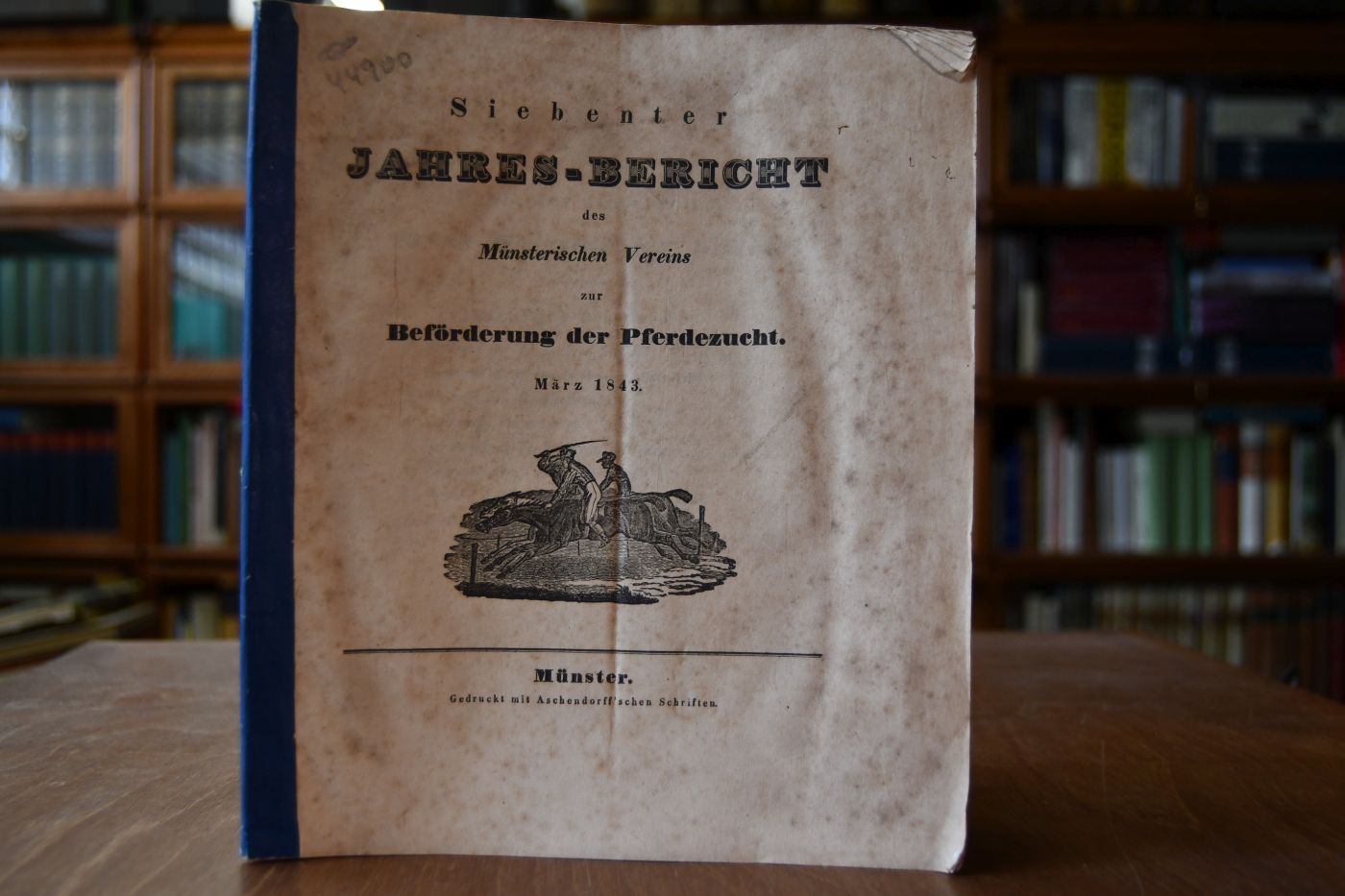 Siebenter Jahres-Bericht des Münsterischen Vereins zur Beförderung der Pferdezucht März 1843.