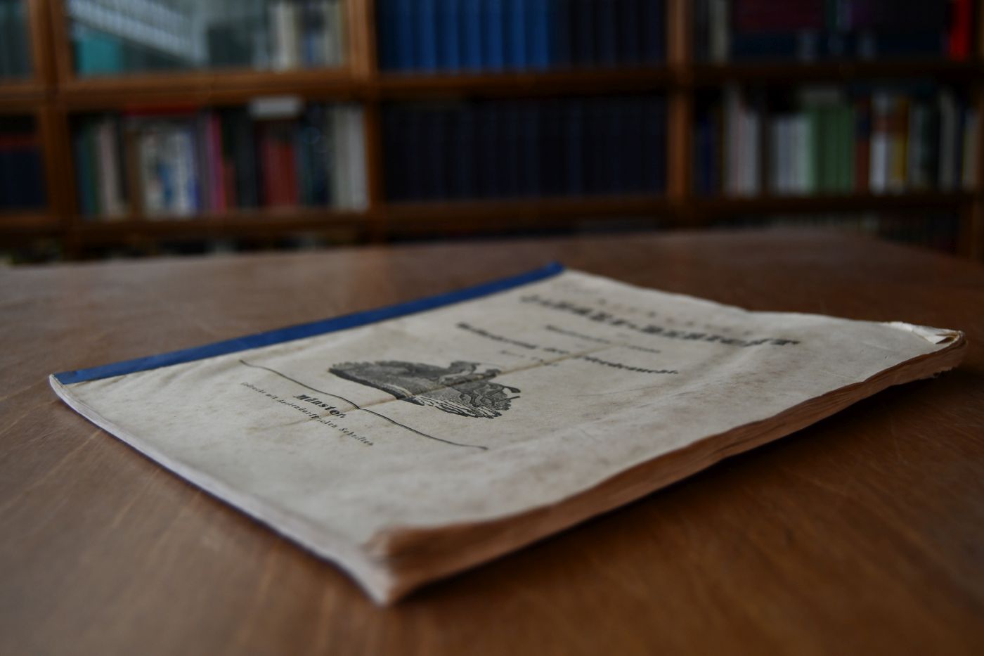 Siebenter Jahres-Bericht des Münsterischen Vereins zur Beförderung der Pferdezucht März 1843.