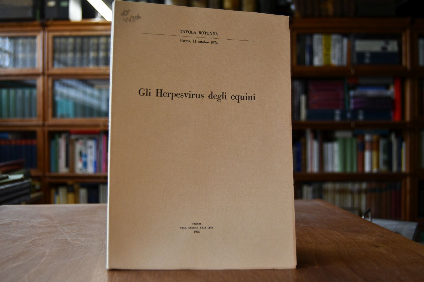 Gli Herpesvirus degli equini.