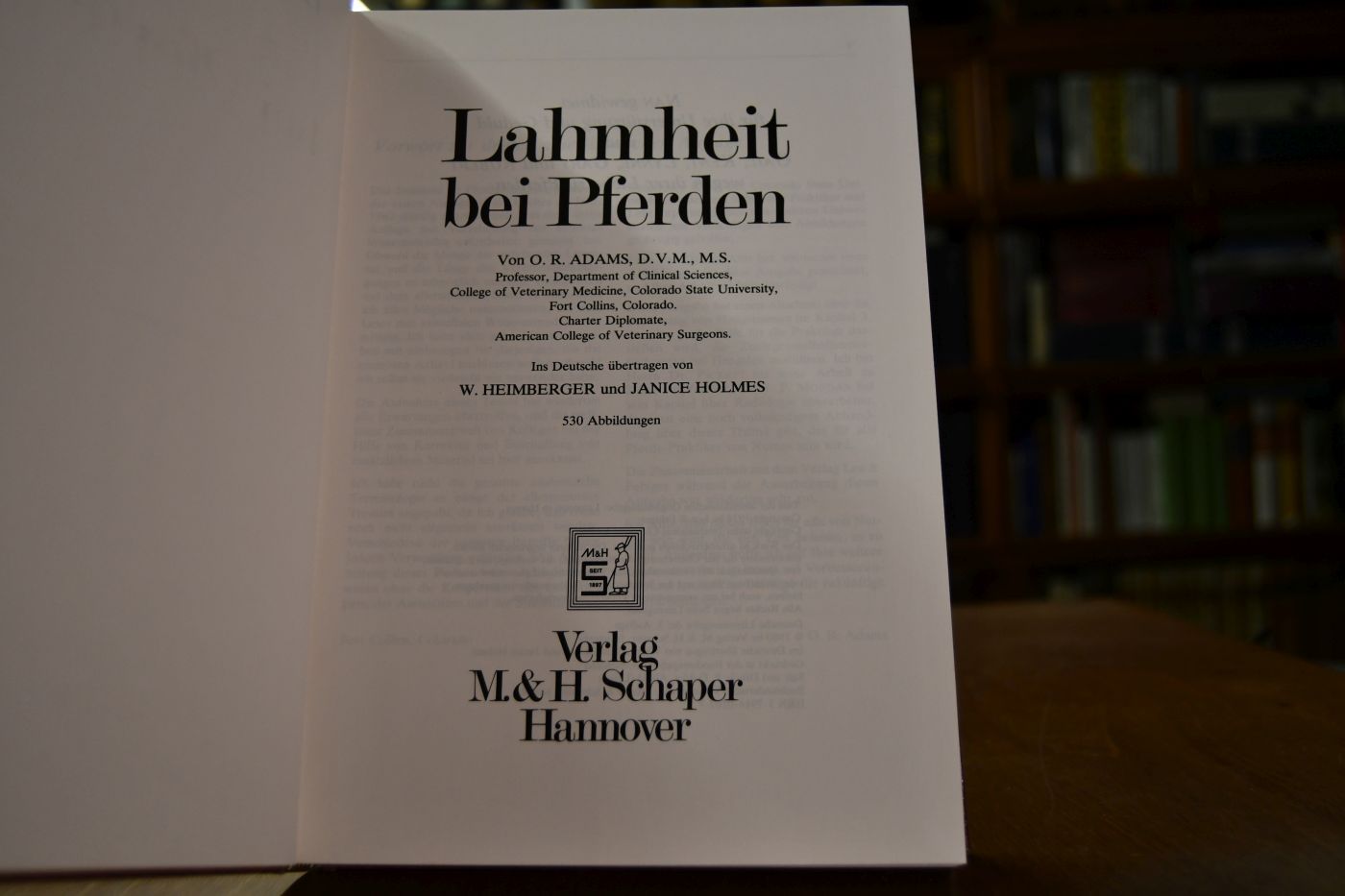Lahmheit bei Pferden.