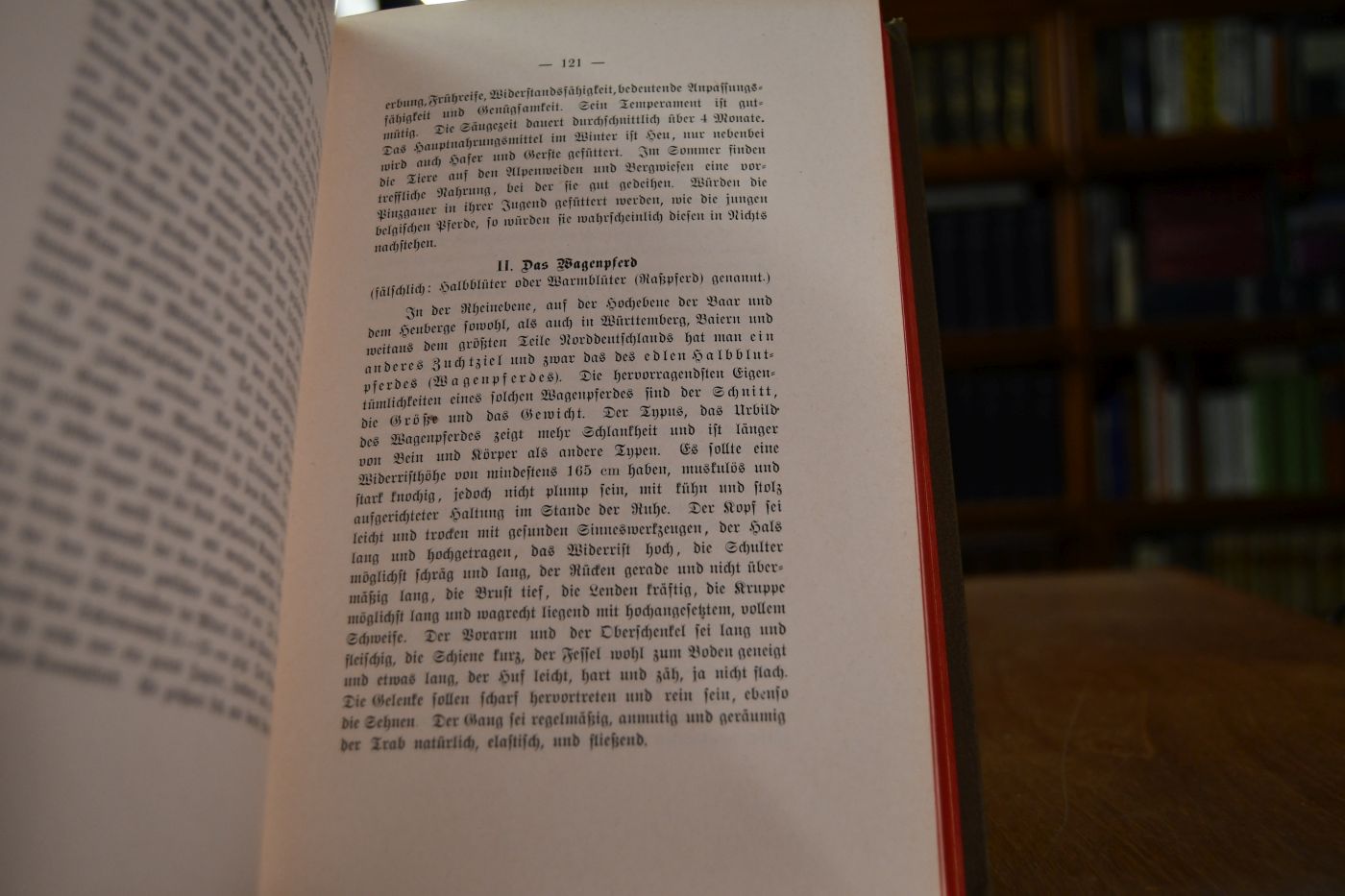 Der kleine Pferdezüchter und Pferdehalter mit besonderer Berücksichtigung der süddeutschen Verhältnisse und der Zucht des schweren Zugpferdes.