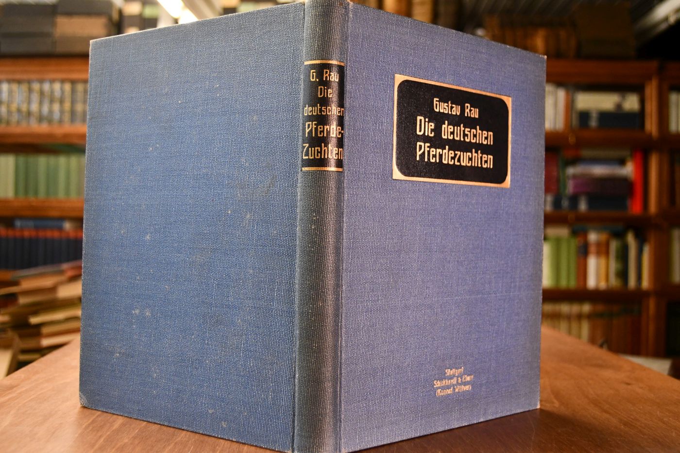 Die deutschen Pferdezuchten. Studien über die Abstammung ihrer Vertreter und deren Typen auf Grund der Hamburger D.L.-G.-Ausstellung 1910.