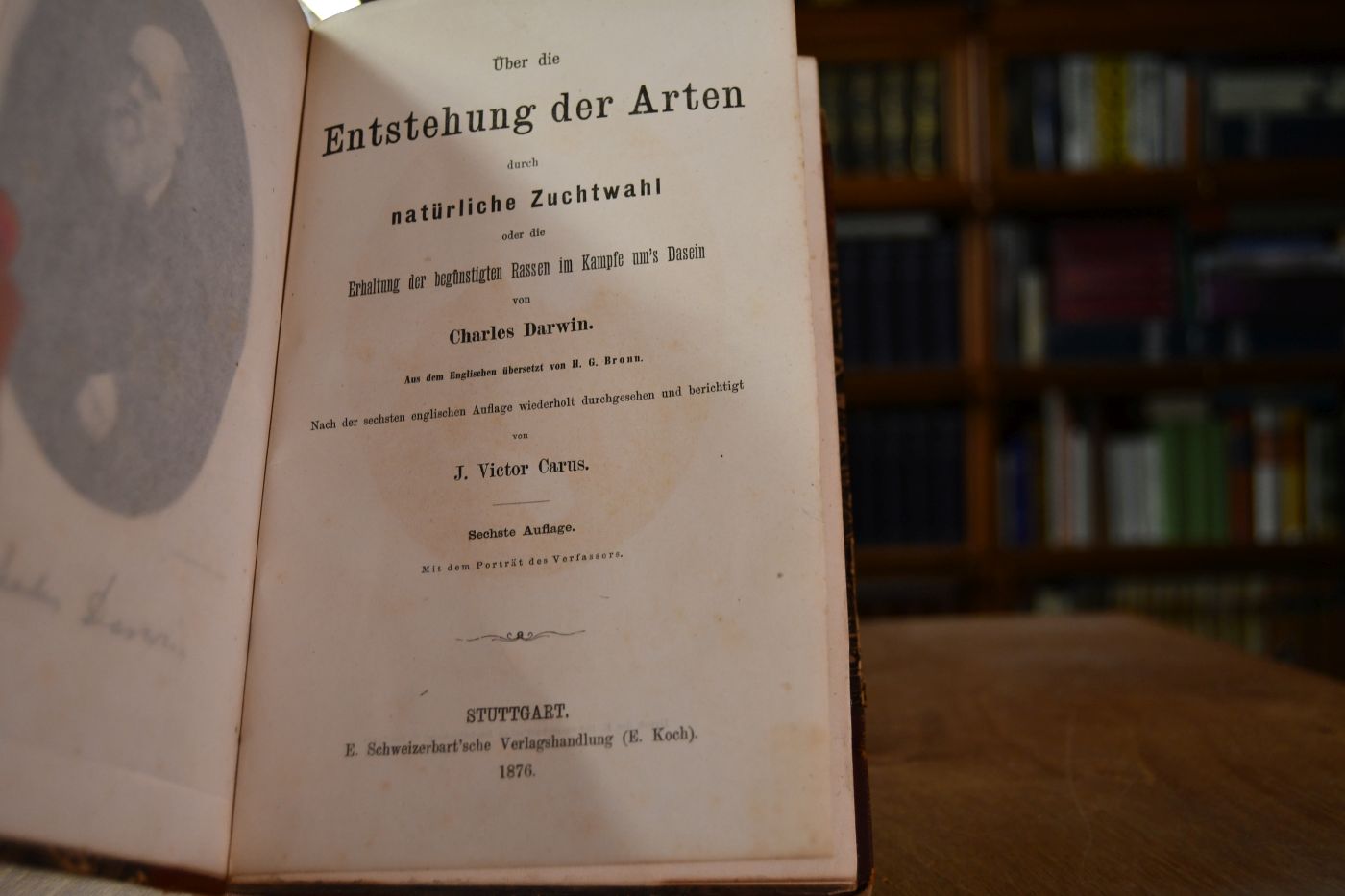 Über die Entstehung der Arten durch natürliche Zuchtwahl oder die Erhaltung der begünstigten Rassen im Kampfe um`s Dasein.