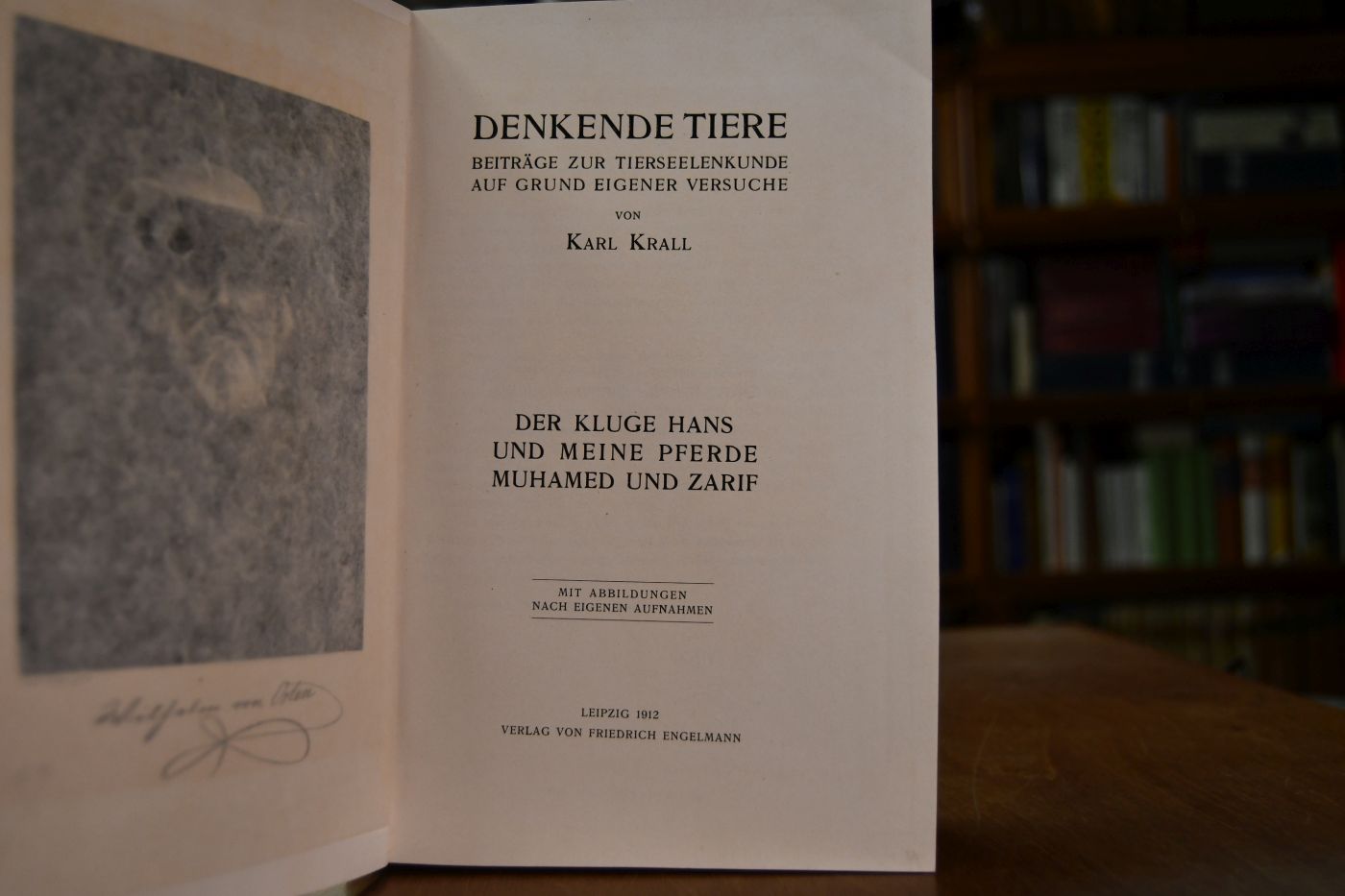 Denkende Tiere. Beiträge zur Tierseelenkunde auf Grund eigener Versuche. Der kluge Hans und meine Pferde Muhamed und Zarif.