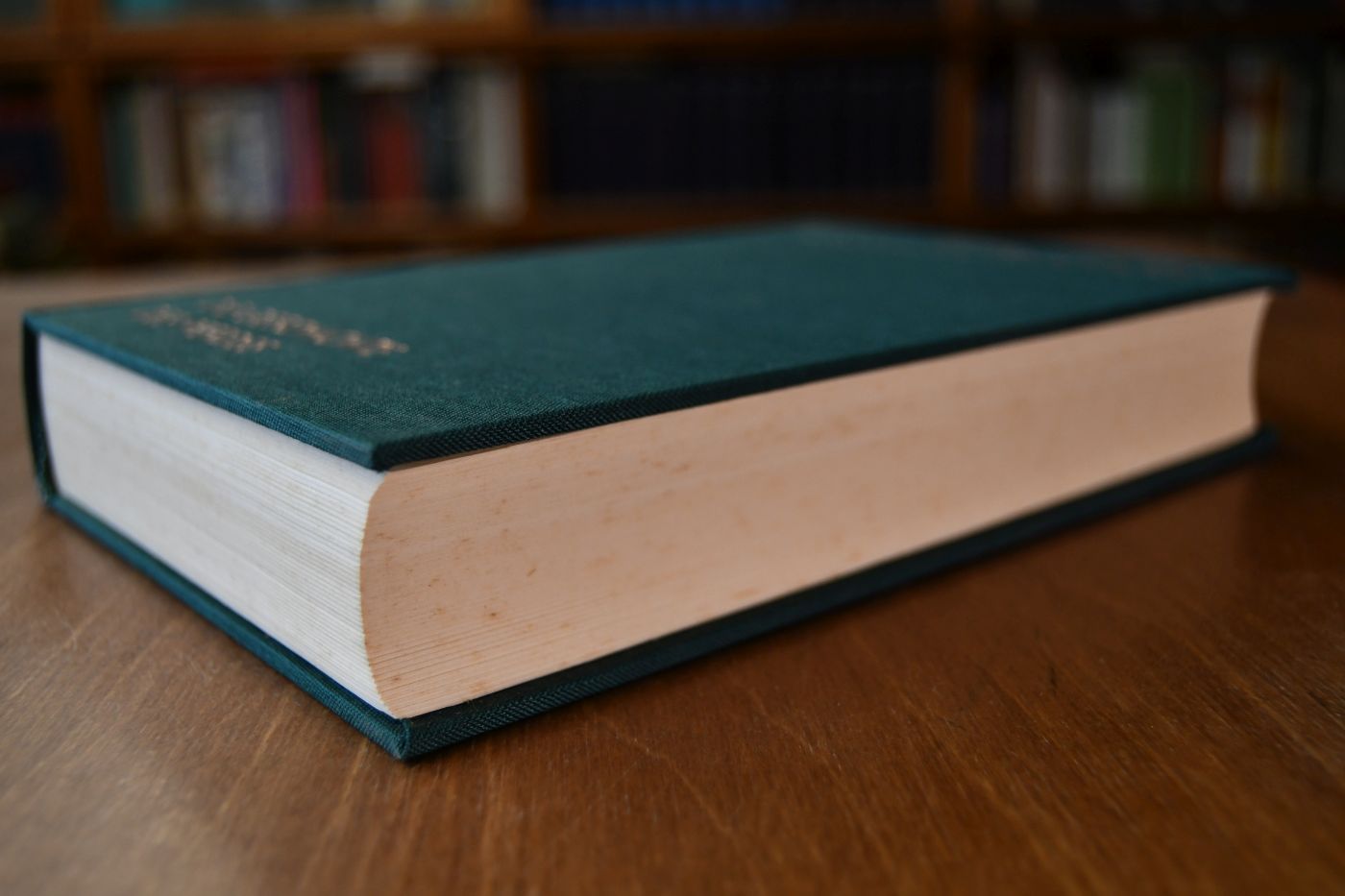 Die Geschichte des Pferdes.