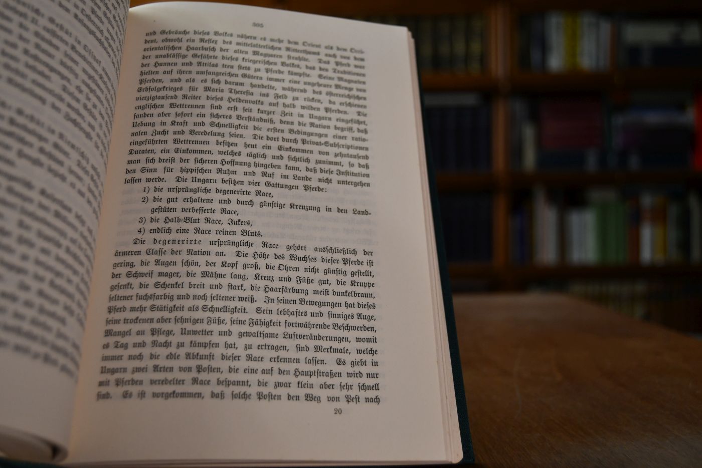 Die Geschichte des Pferdes.