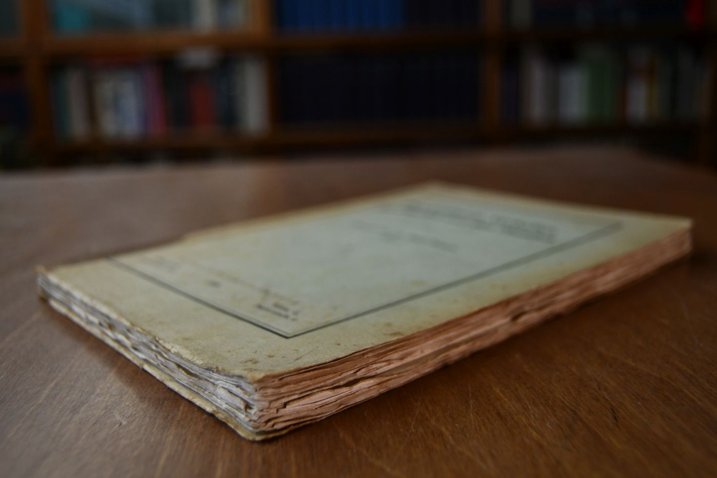 Das seelische Verhalten des Pferdes und des Hundes.
