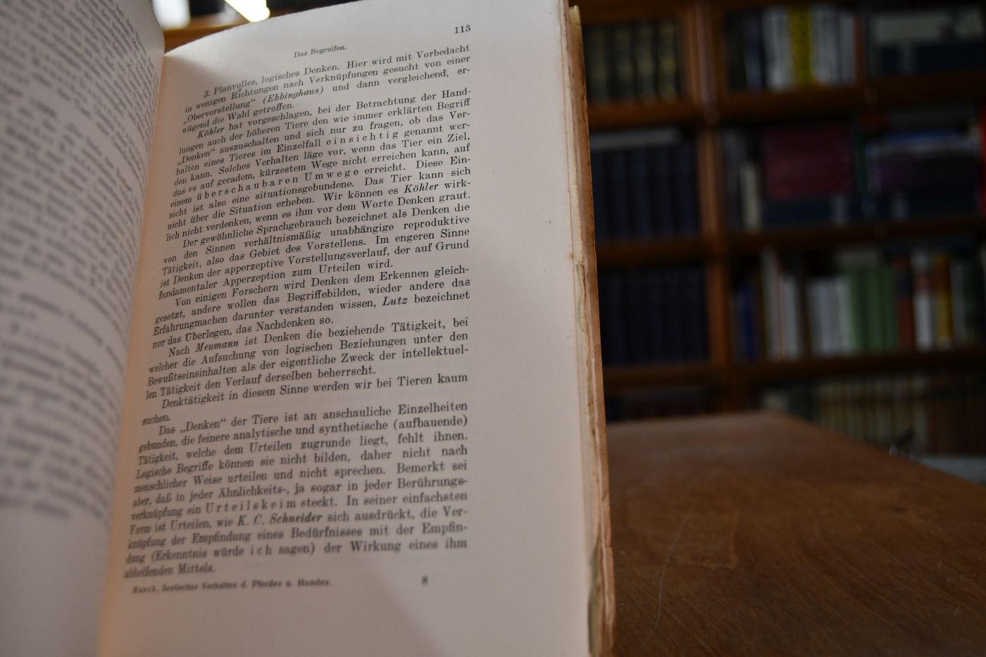 Das seelische Verhalten des Pferdes und des Hundes.