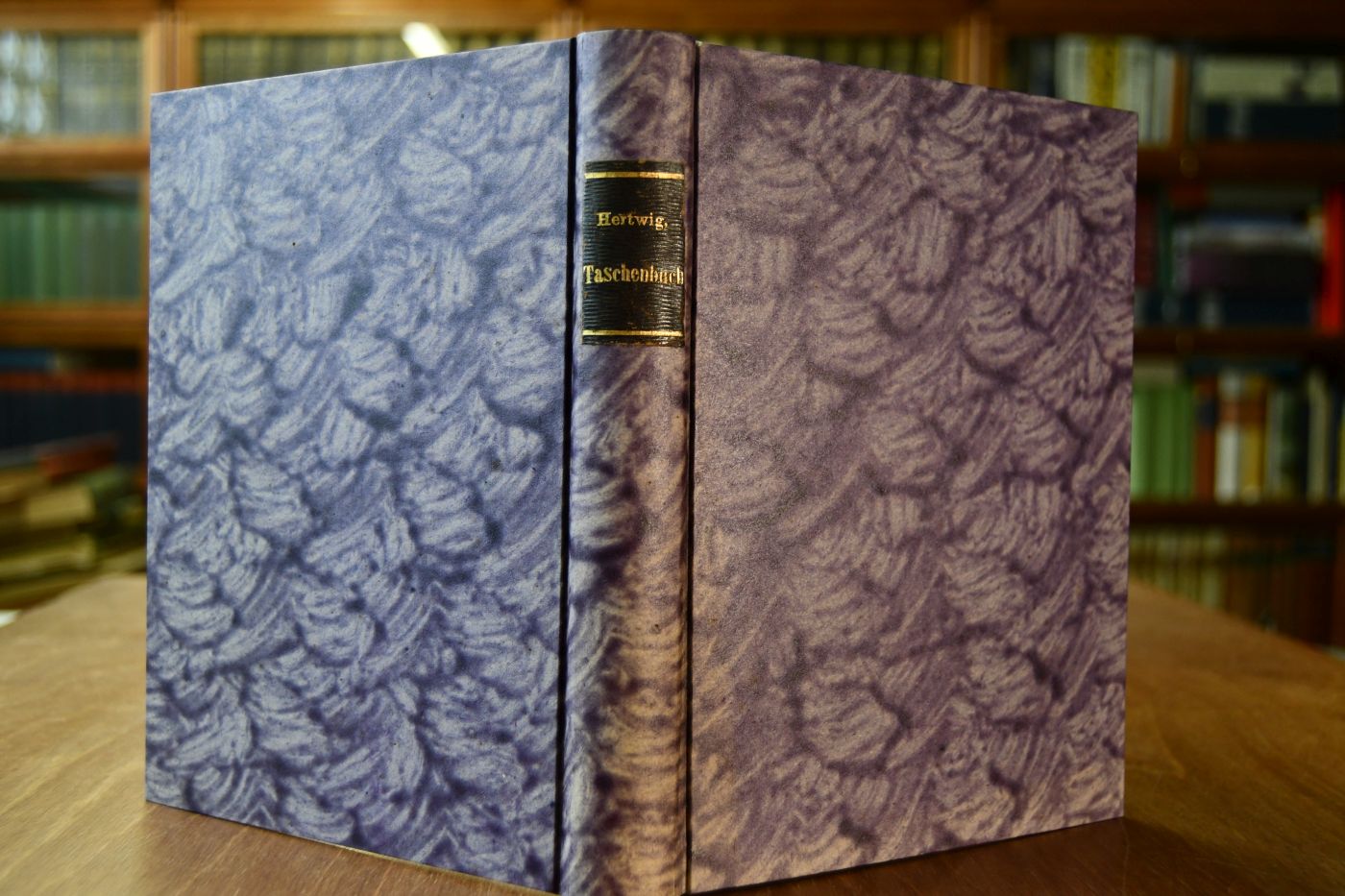 Taschenbuch der gesammten Pferdekunde. Für jeden Besitzer und Liebhaber von Pferden.