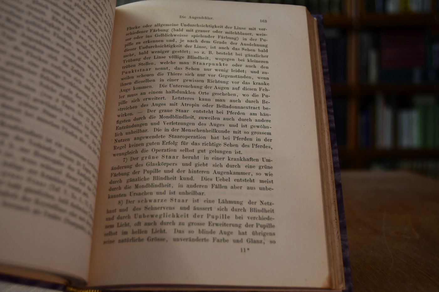 Taschenbuch der gesammten Pferdekunde. Für jeden Besitzer und Liebhaber von Pferden.